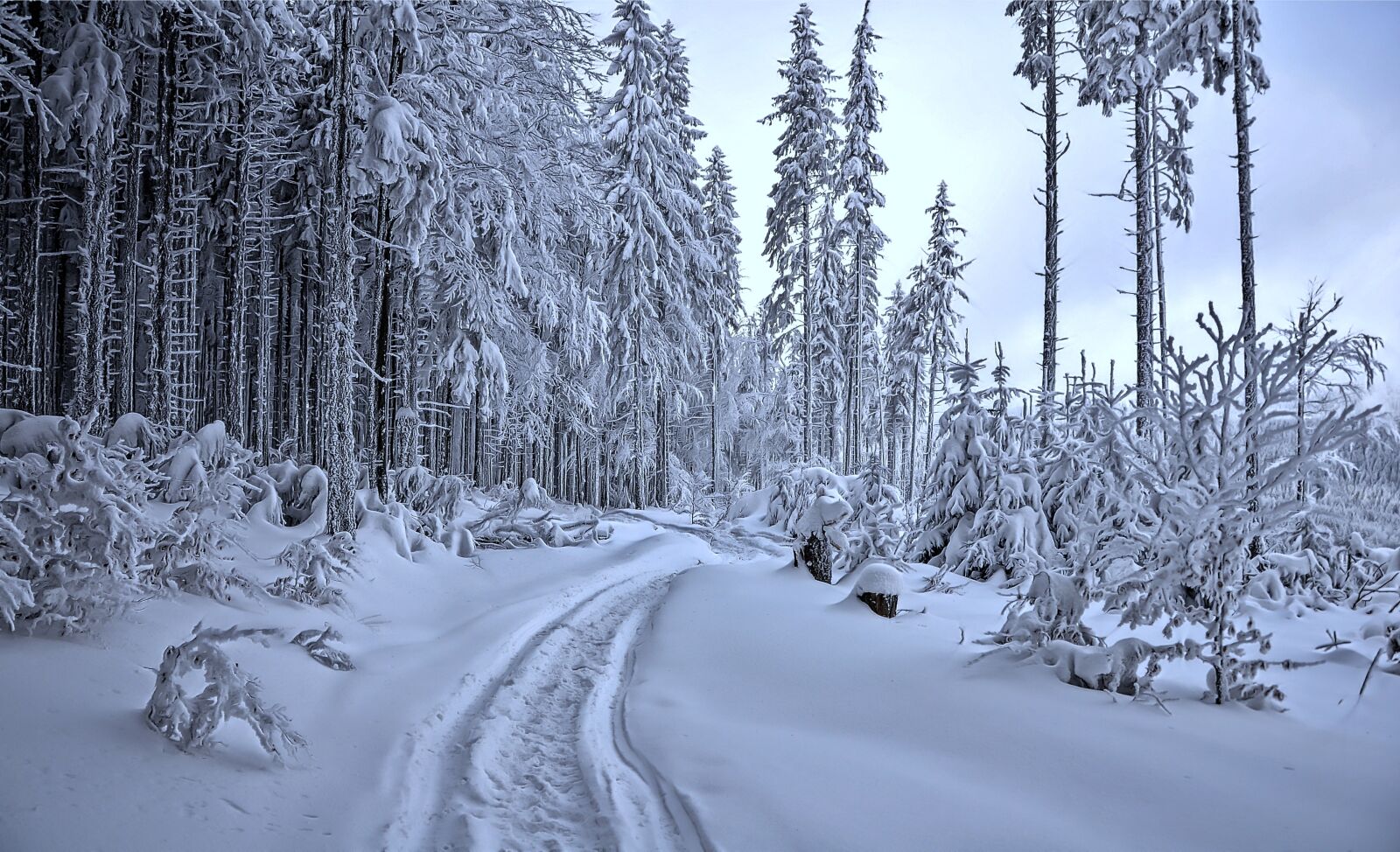 Nikon D90 sample photo. Winter, way, snow photography