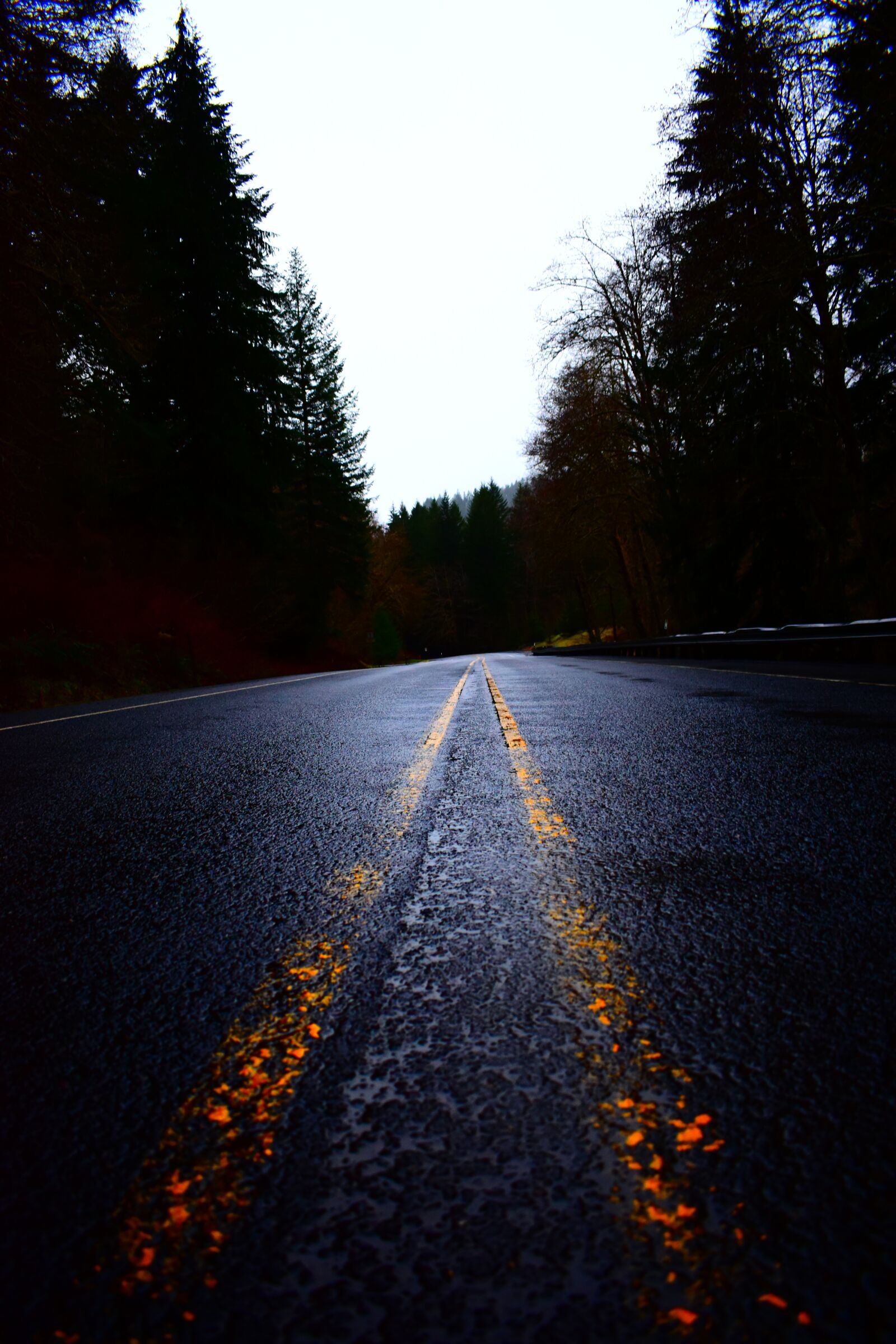 Nikon D3500 sample photo. Road, rain, wet photography