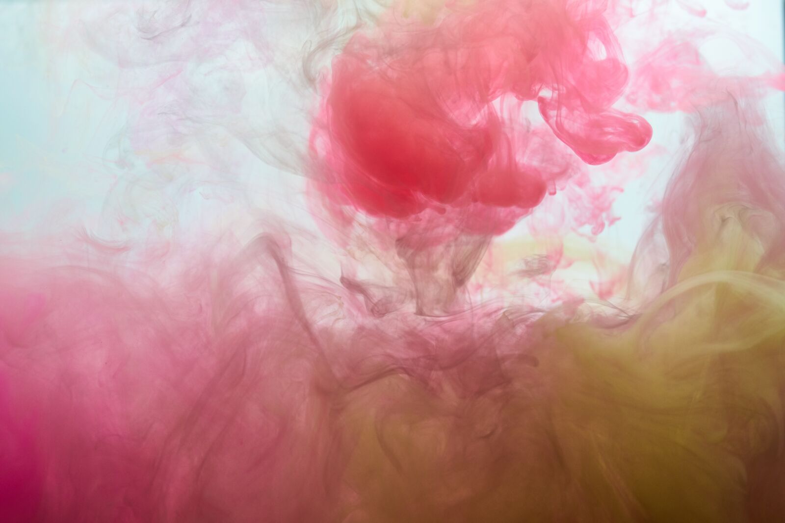 Sigma 85mm F1.4 DG HSM Art sample photo. Ink, water, pink photography