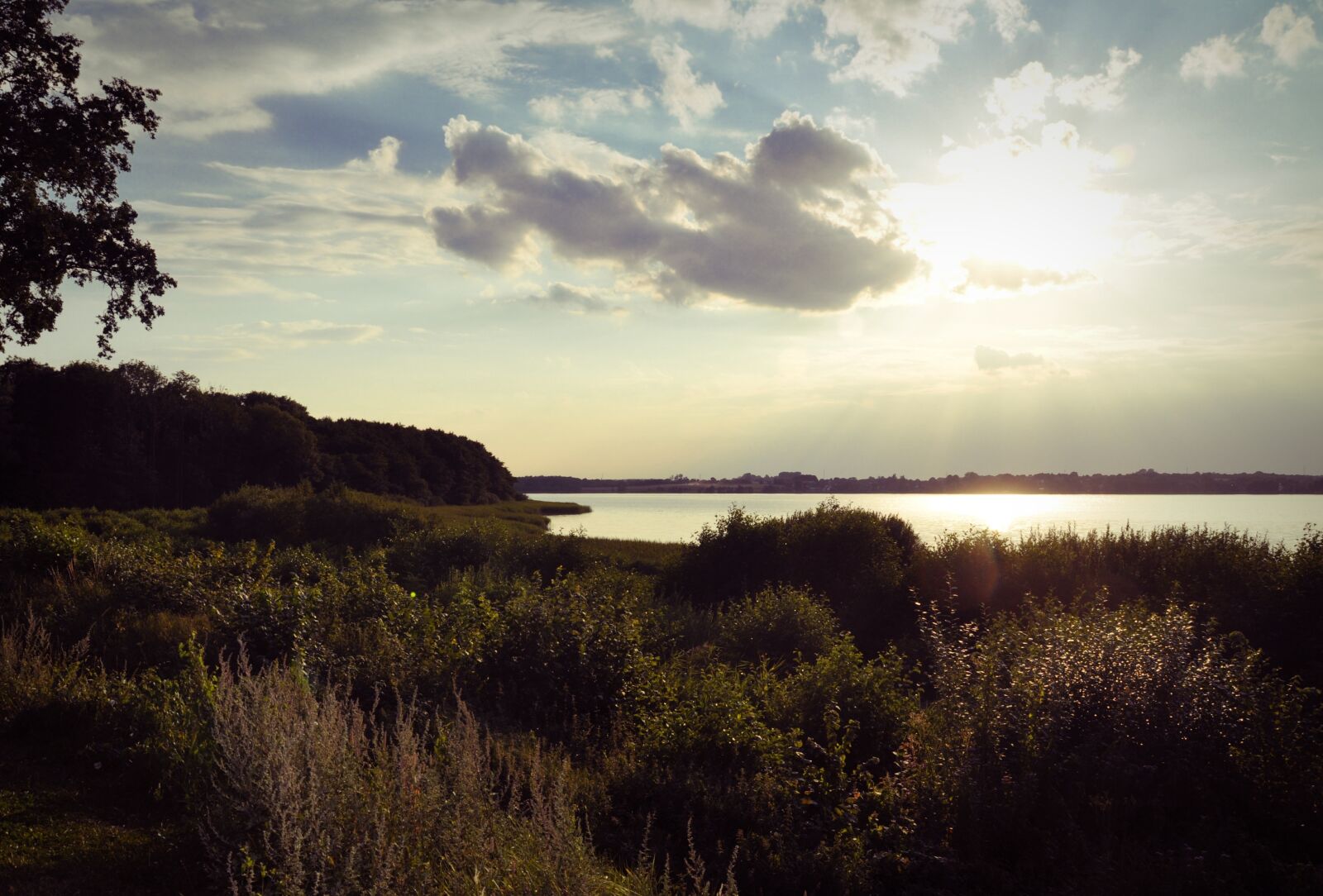 Nikon D90 sample photo. Summer, lake, clouds photography