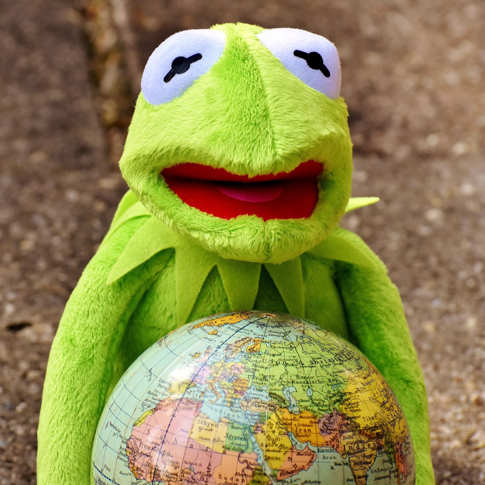 Nikon D7200 sample photo. Kermit, embrace the world photography