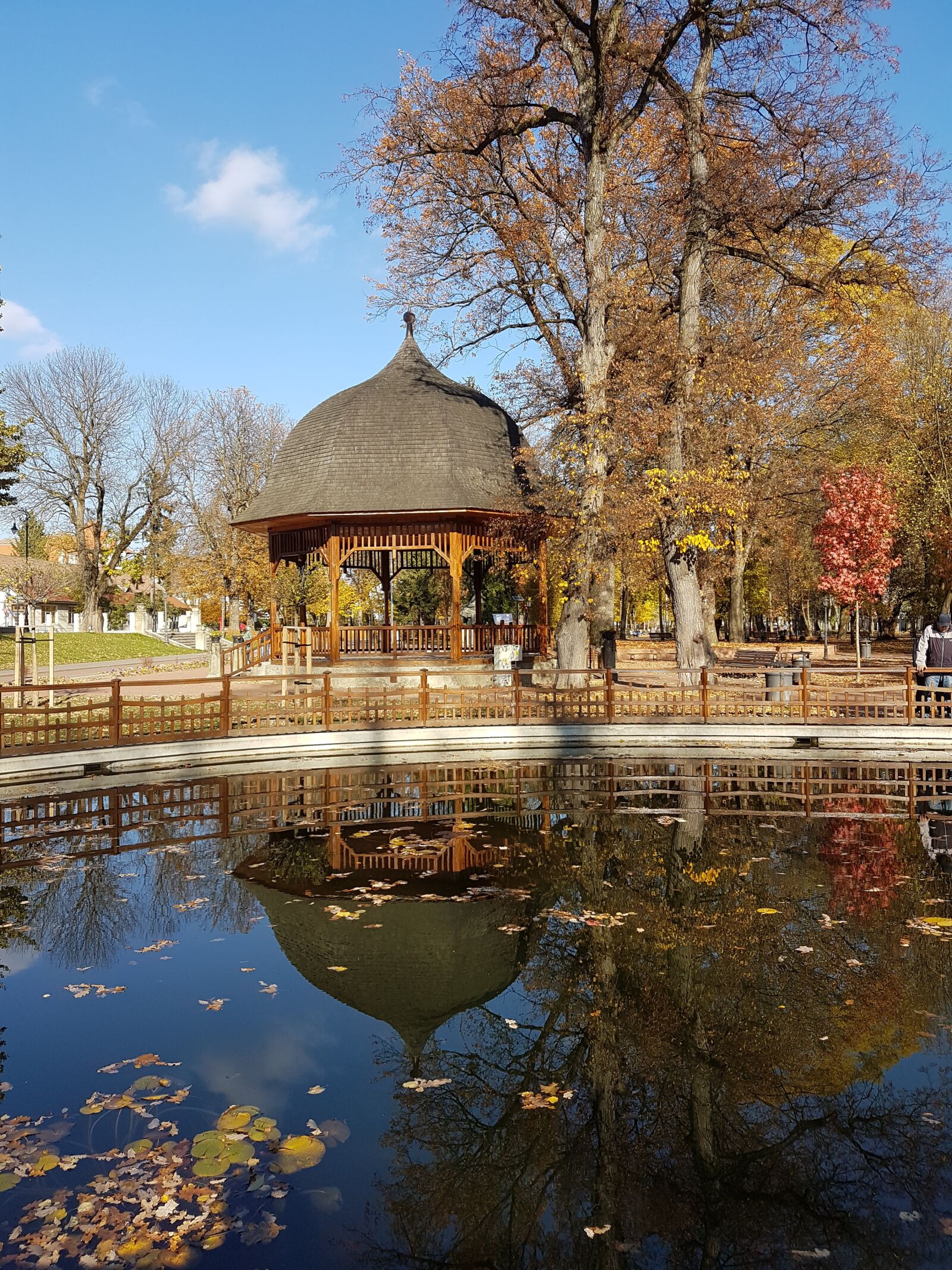 Samsung Galaxy S7 Edge sample photo. Reflections in park, autumn photography