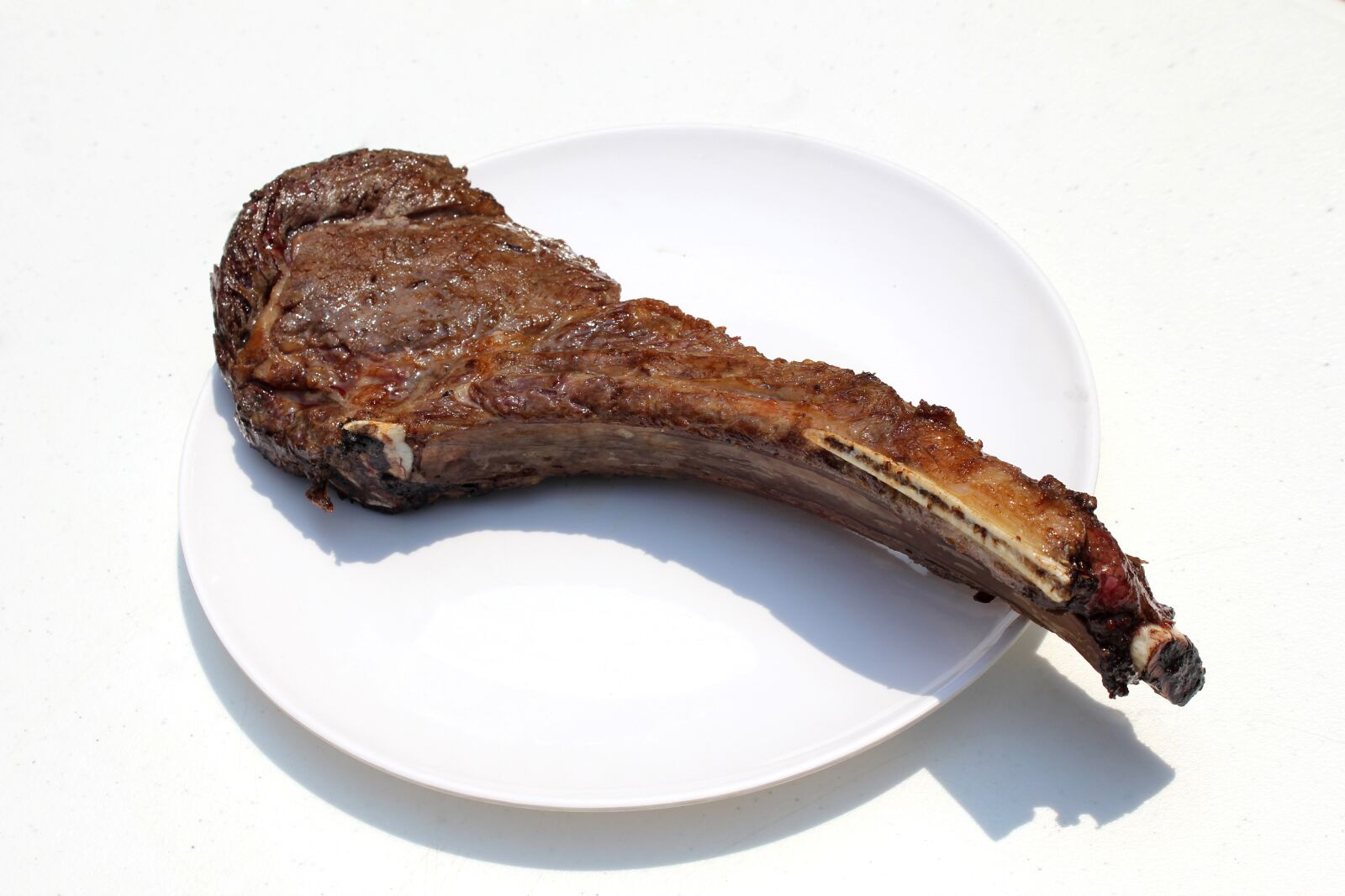 Canon EOS 550D (EOS Rebel T2i / EOS Kiss X4) sample photo. Meat, barbecue, roast photography
