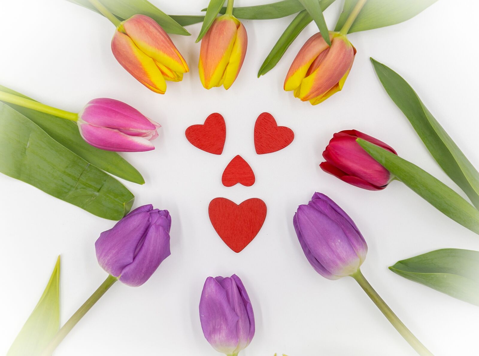 Canon EOS 6D + Canon EF 24-105mm F4L IS USM sample photo. Tulips, tulips heart, spring photography