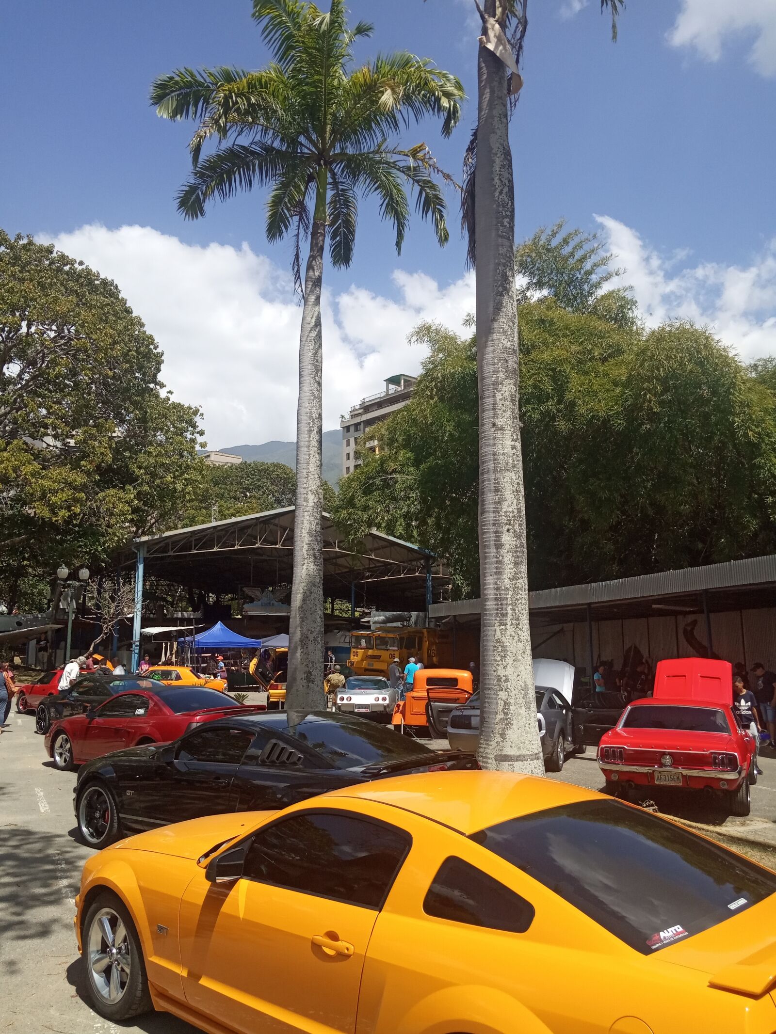 Xiaomi Redmi 6A sample photo. Autos, mustang, carros photography