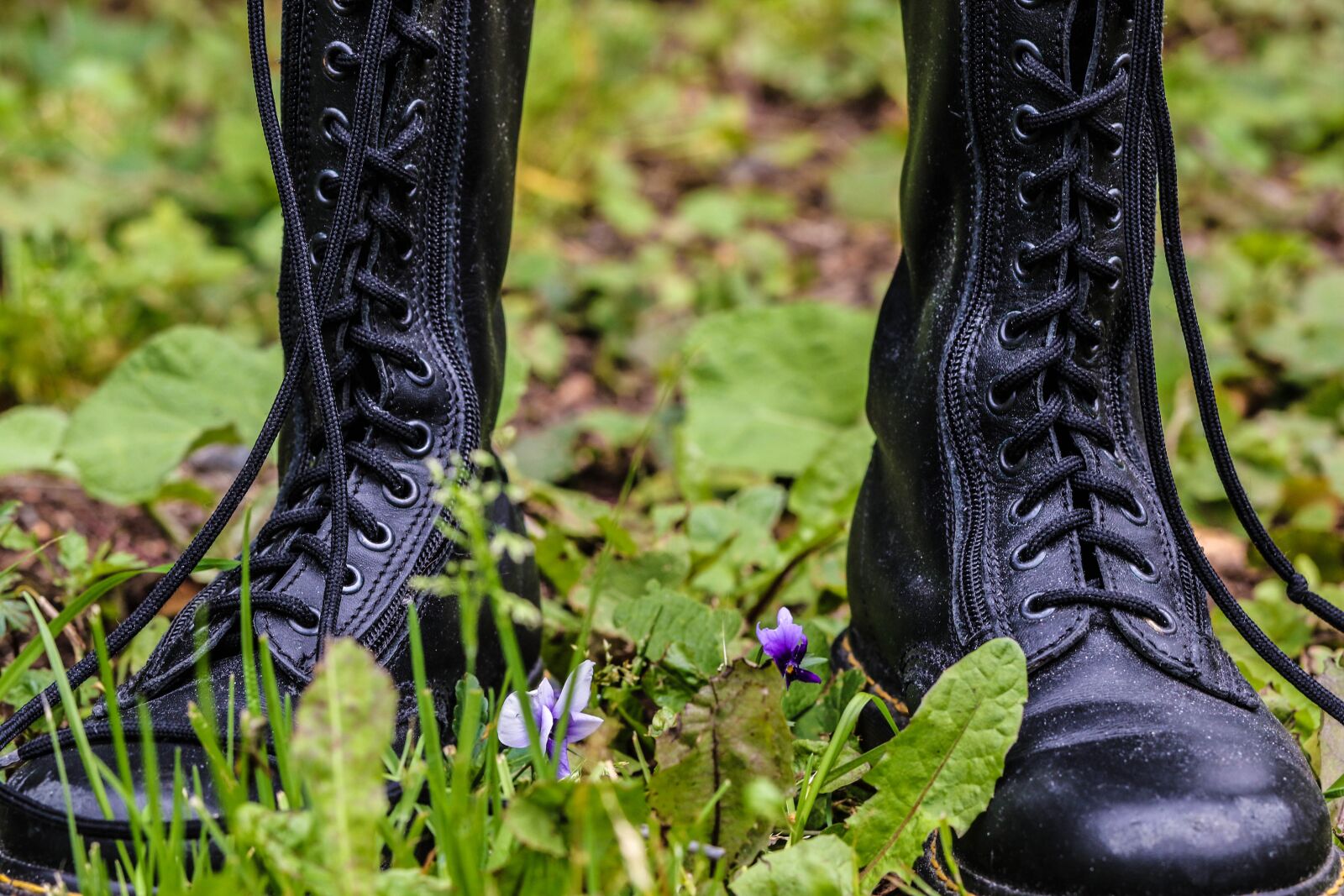 Canon EOS 7D Mark II sample photo. Boot, green, grass photography