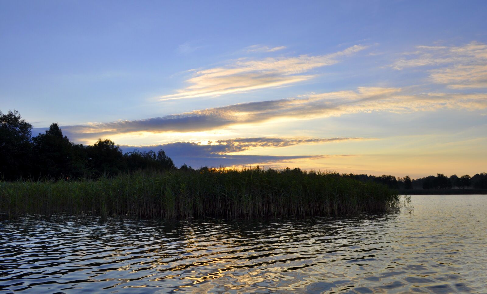 Nikon D5000 sample photo. Nature, monolithic part of photography