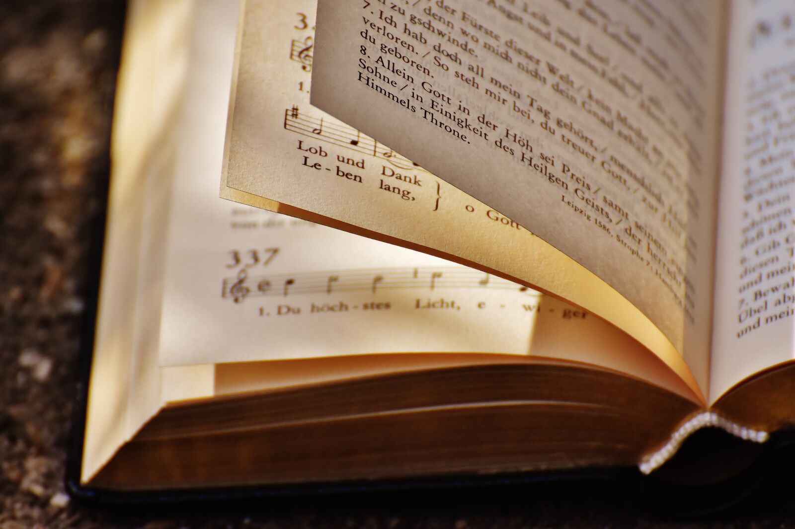 Nikon D7200 sample photo. Book, hymnal, church photography