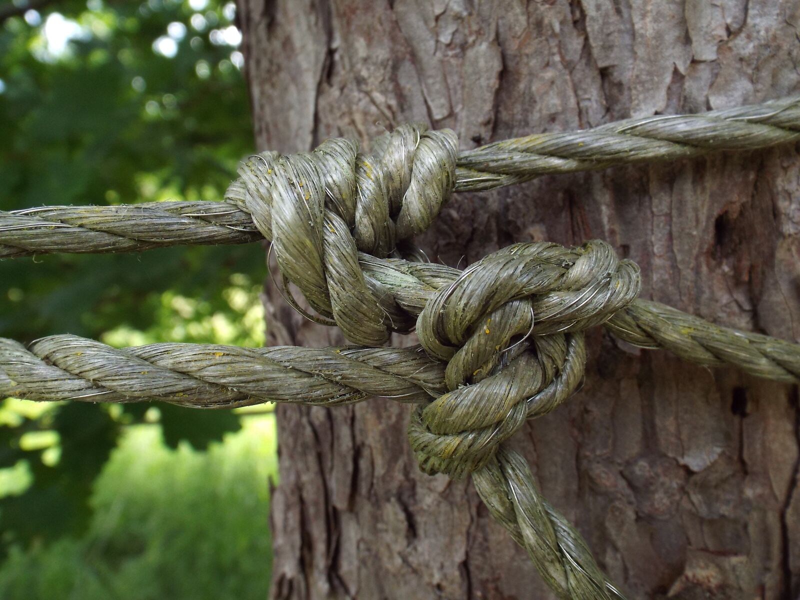 Fujifilm FinePix S6800 sample photo. Rope, knot, link photography