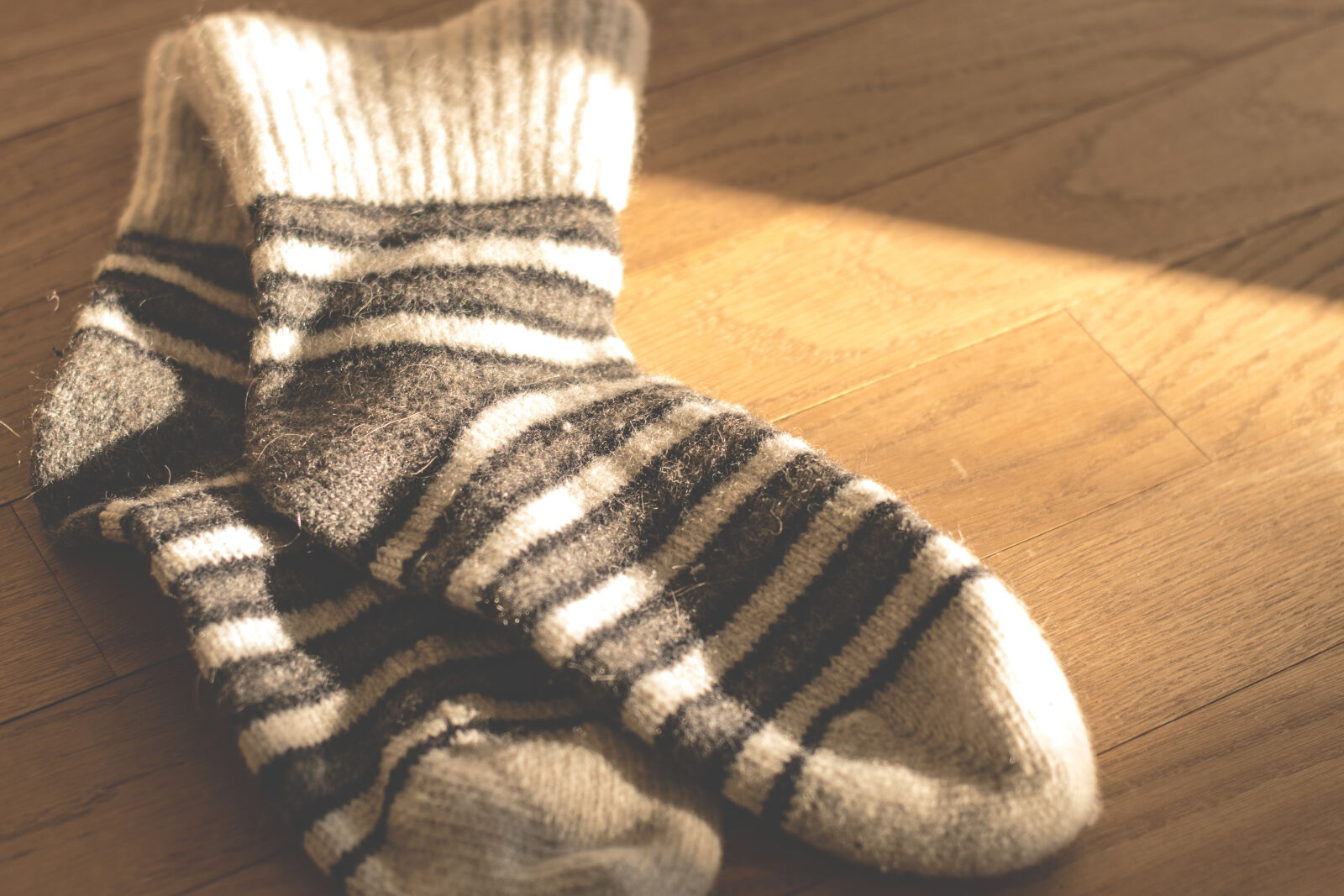 Nikon D5300 sample photo. Close, up, high, angle photography