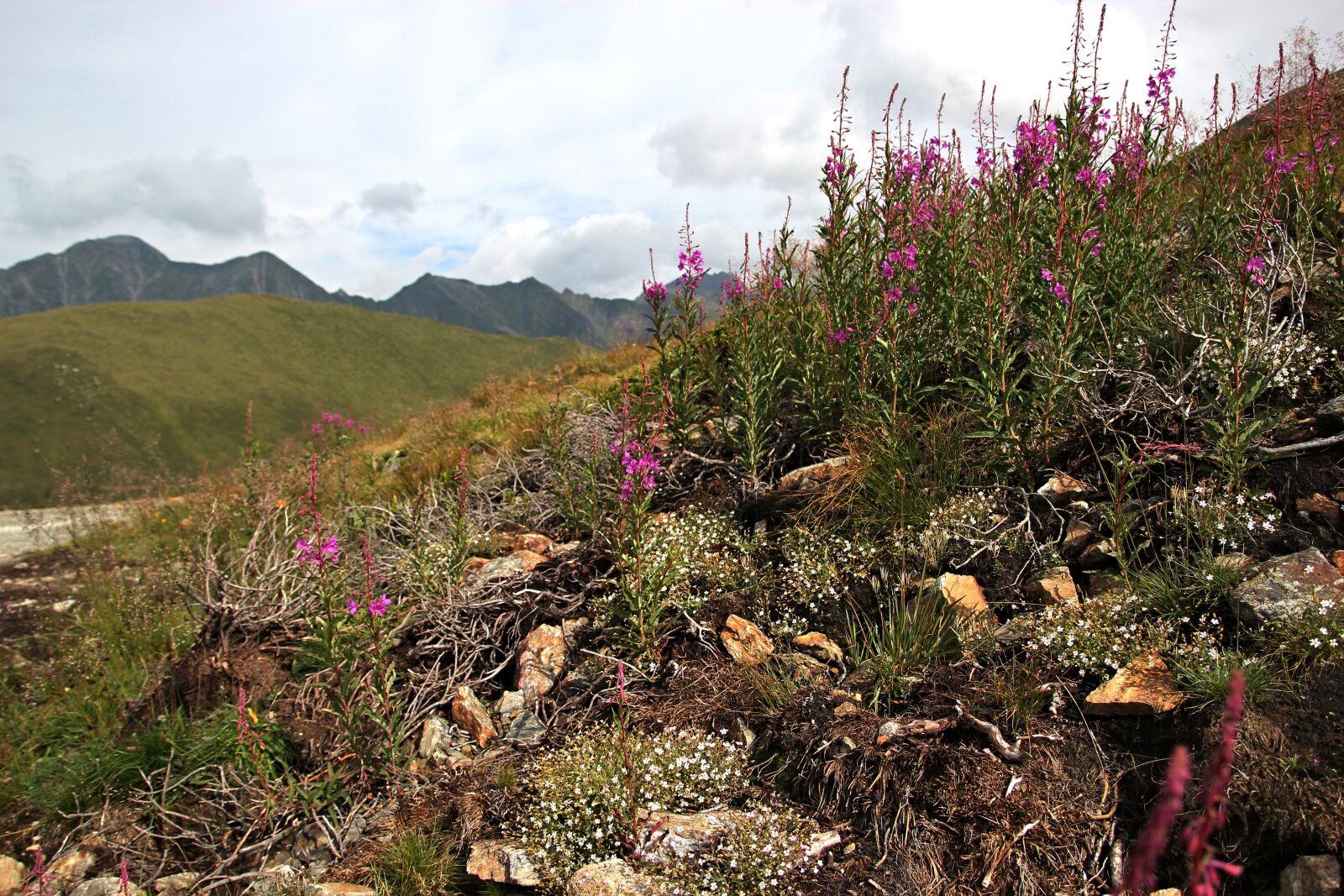 Canon EOS 550D (EOS Rebel T2i / EOS Kiss X4) sample photo. Mountains, nature, landscape photography