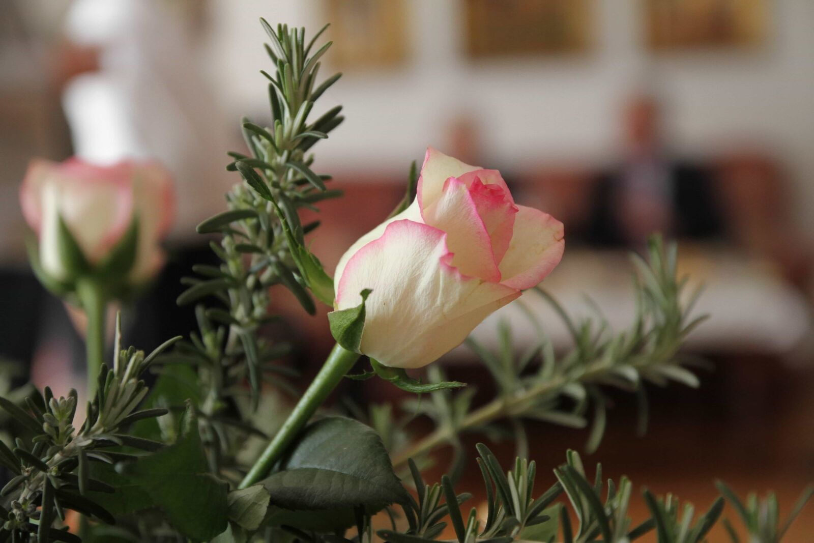 Canon EOS 7D sample photo. Bouquet, pinkish, rosemary, white photography