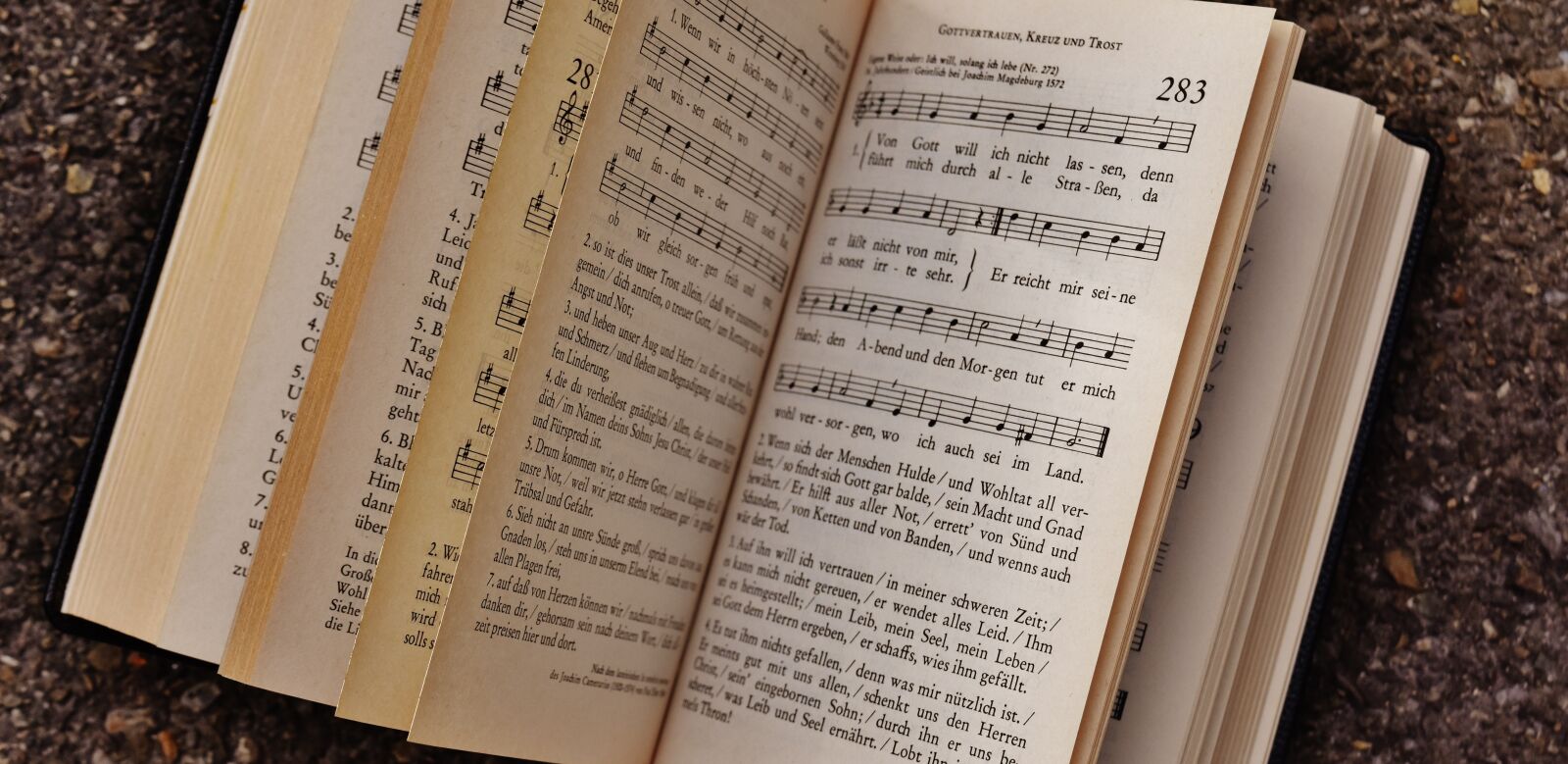 Nikon D7200 sample photo. Book, hymnal, church photography