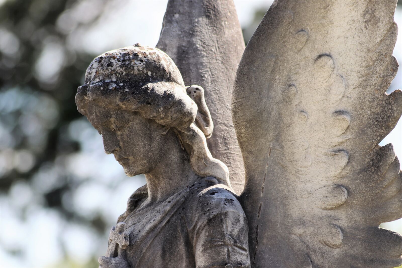 Canon EOS 200D (EOS Rebel SL2 / EOS Kiss X9) + Canon EF 70-300mm F4-5.6 IS USM sample photo. Stone angel, wings, statue photography