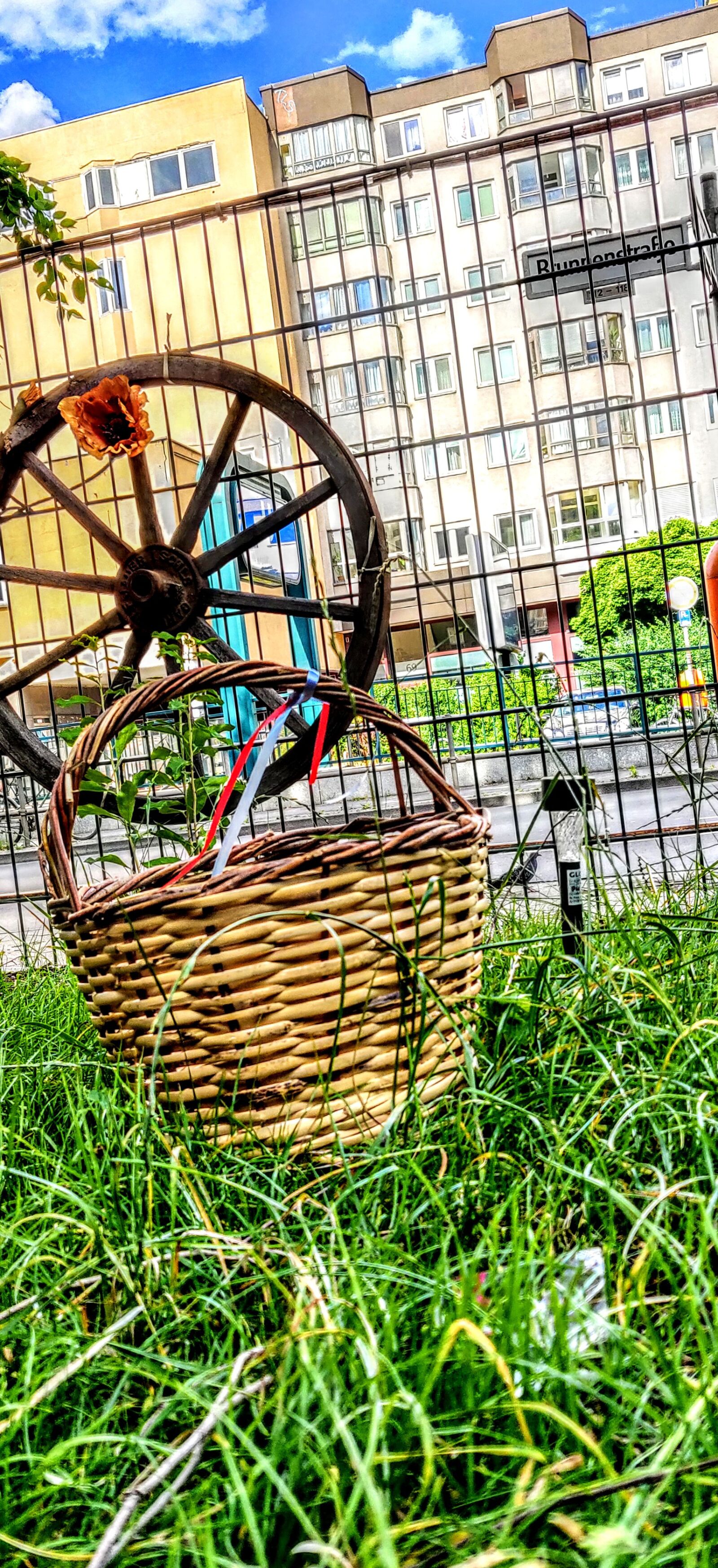 OnePlus 6T sample photo. Basket, park, green photography