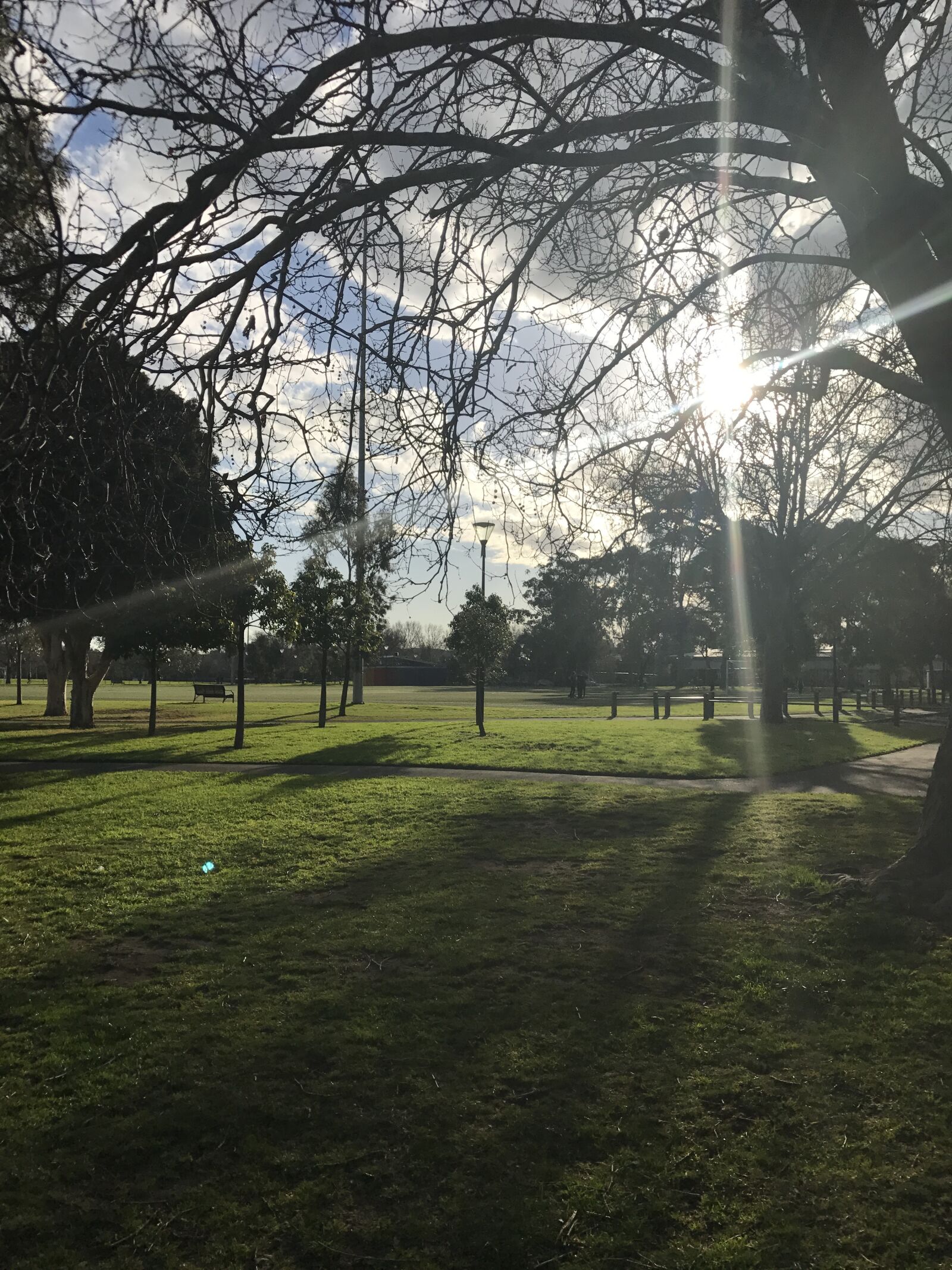 iPhone 7 back camera 3.99mm f/1.8 sample photo. Park, sunrise, sunset, sunshine photography