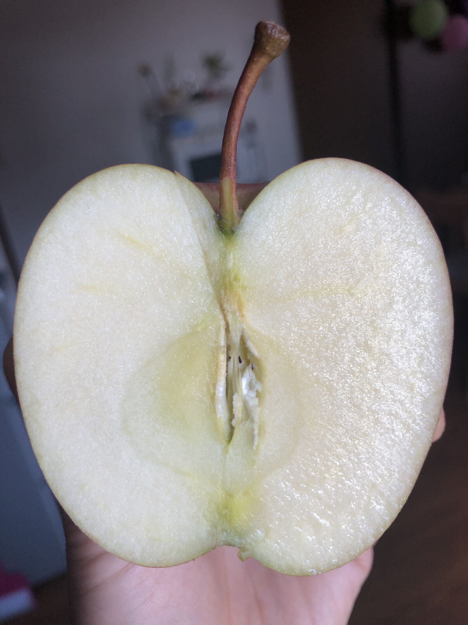 Apple iPhone 8 sample photo. Apple, half apple, fruit photography