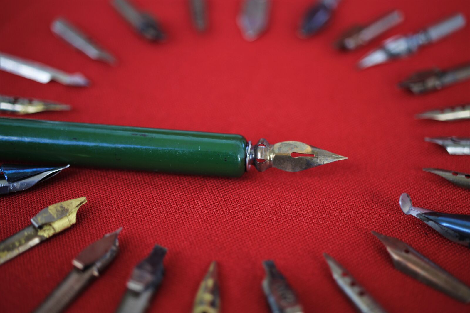 Canon EOS 7D sample photo. Filler, filler holder, feather photography