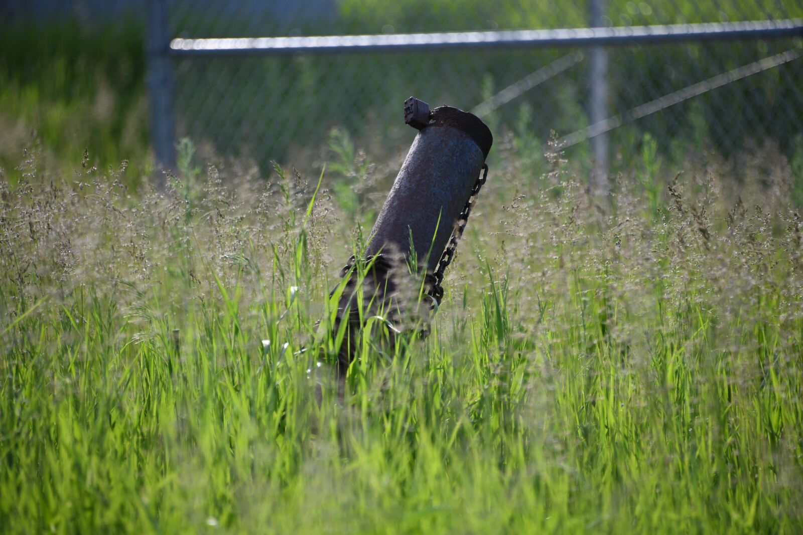 Nikon D850 sample photo. Field, grassland, green photography