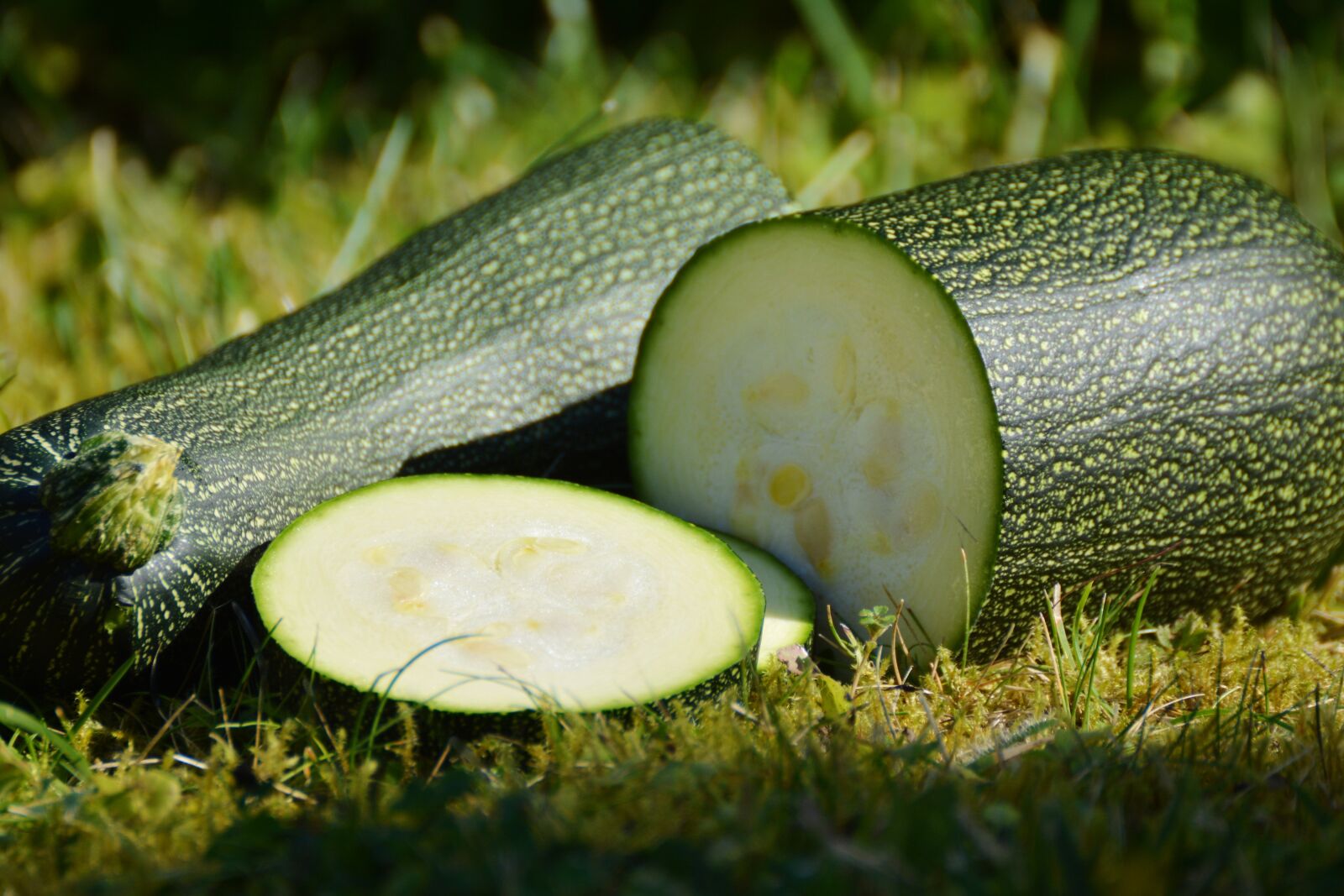 Nikon D5200 sample photo. Zucchini, vegetables, harvest photography