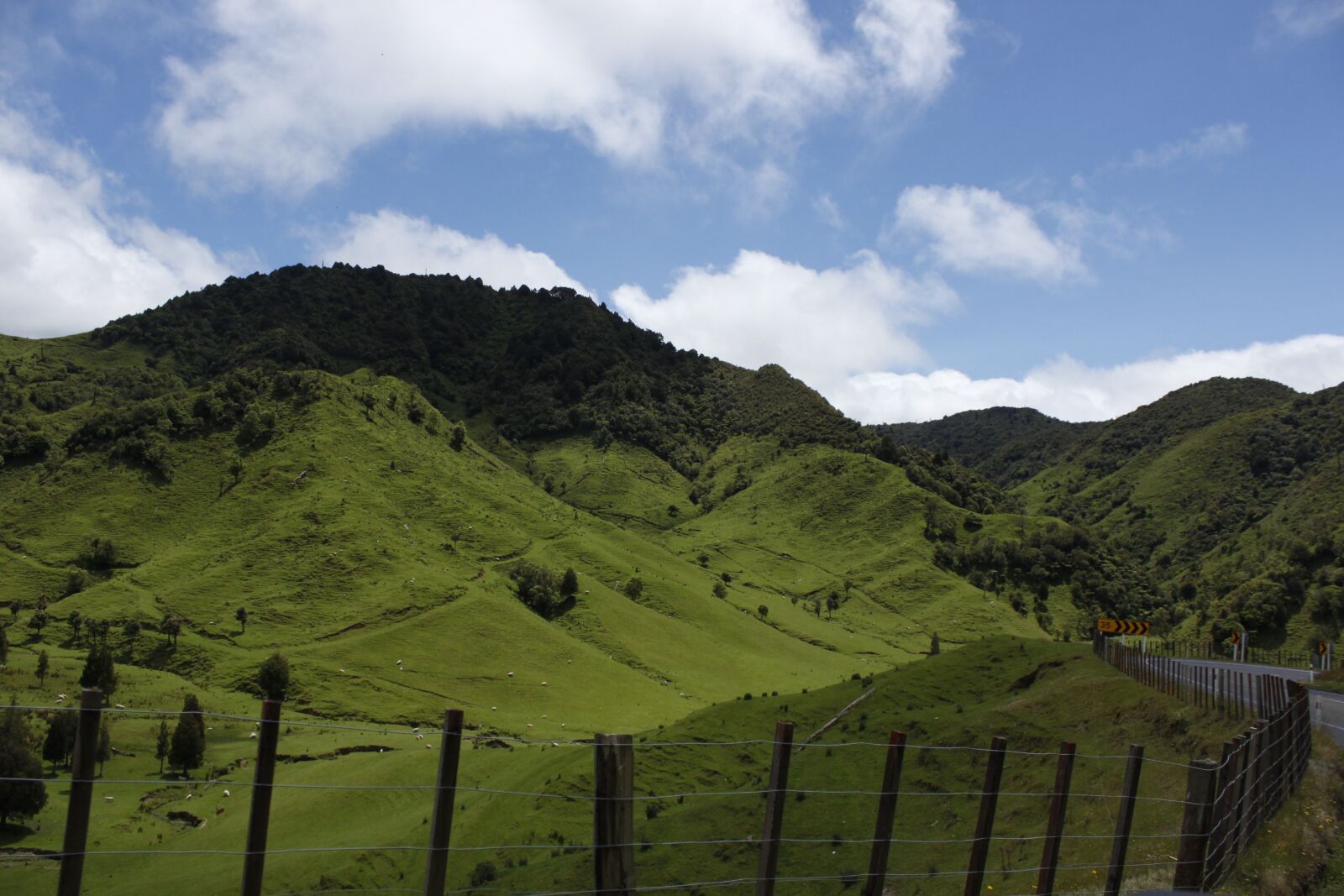 Canon EOS 500D (EOS Rebel T1i / EOS Kiss X3) sample photo. New zealand, sheep, mountains photography