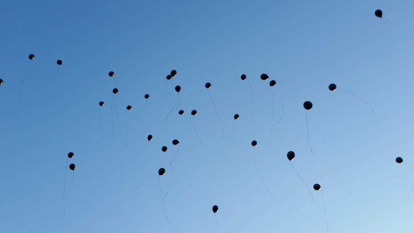 Samsung Galaxy S5 sample photo. Balloons, sky, ceremony photography