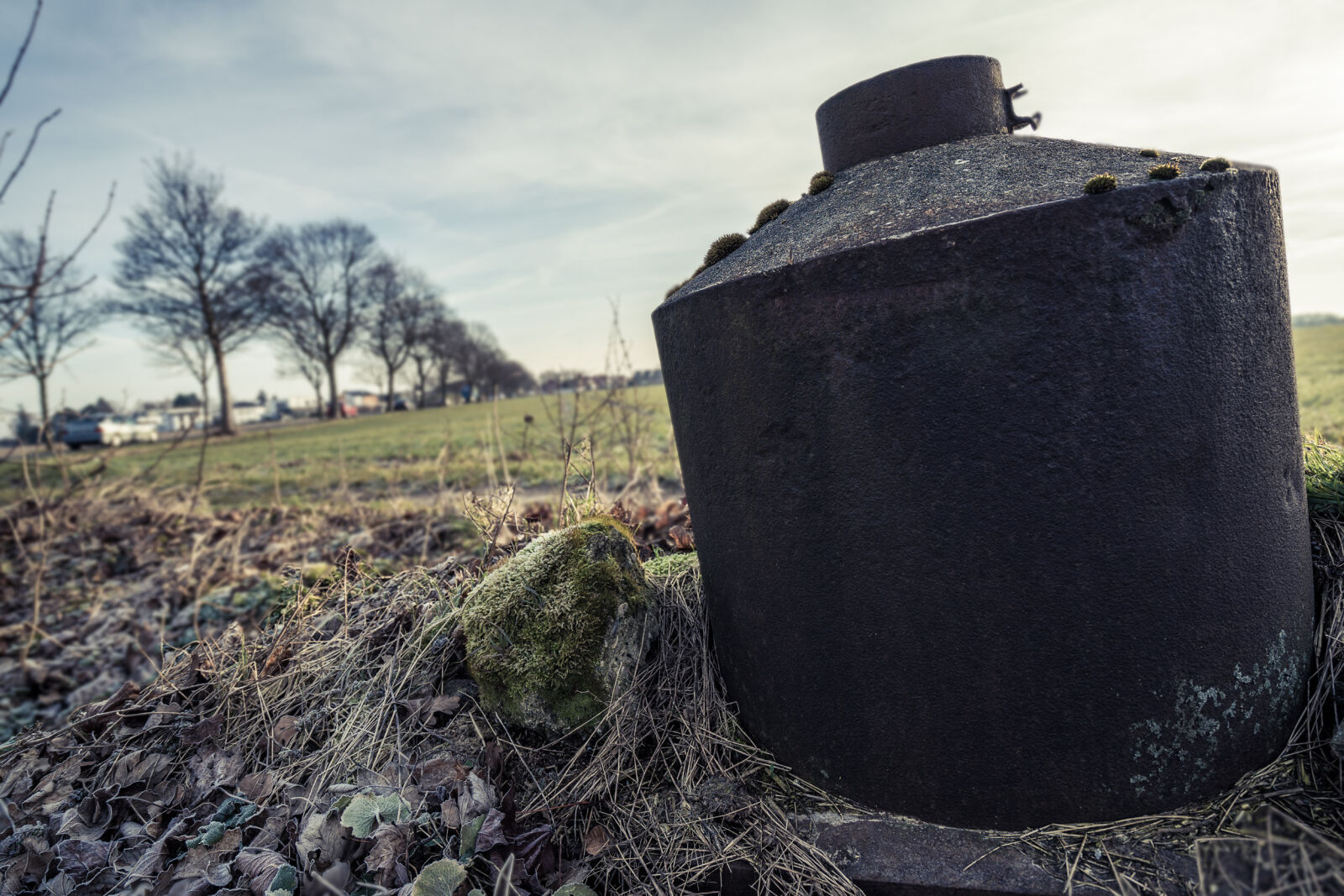 Sony a7R II + Sony Vario-Tessar T* FE 16-35mm F4 ZA OSS sample photo