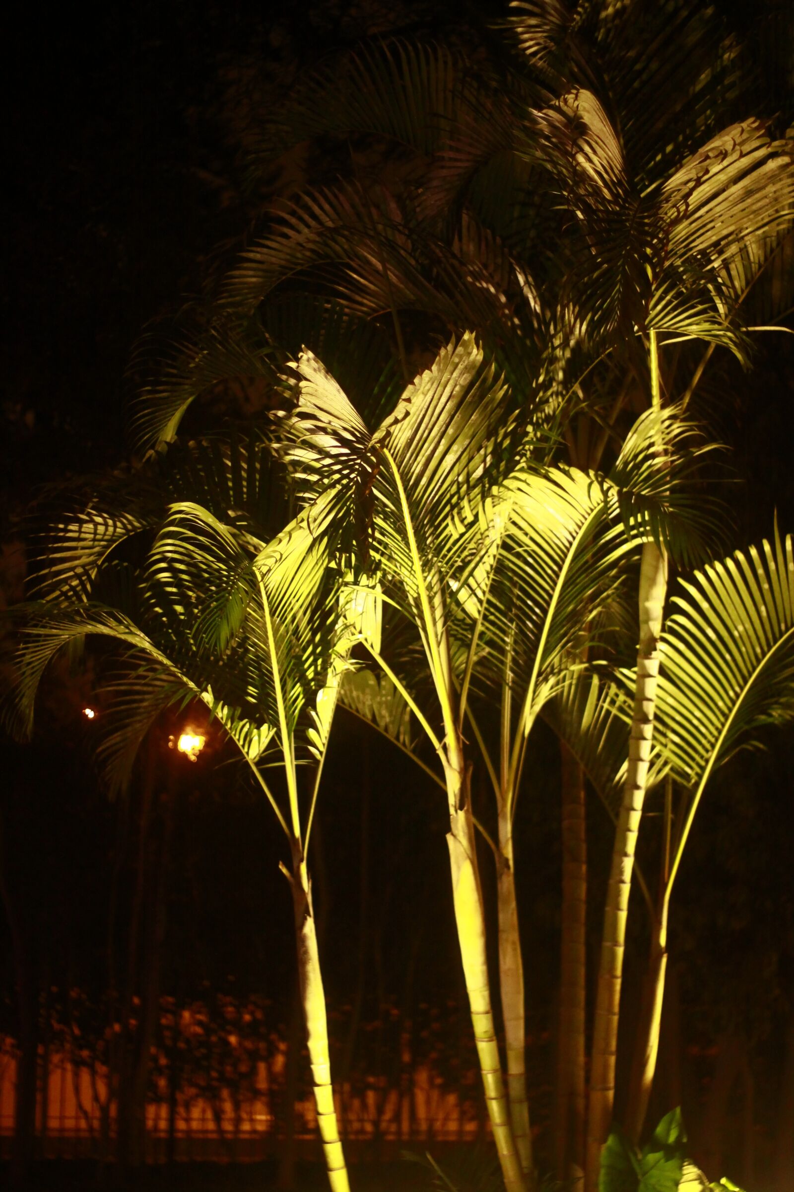 Canon EOS 50D sample photo. Park, of, the photography