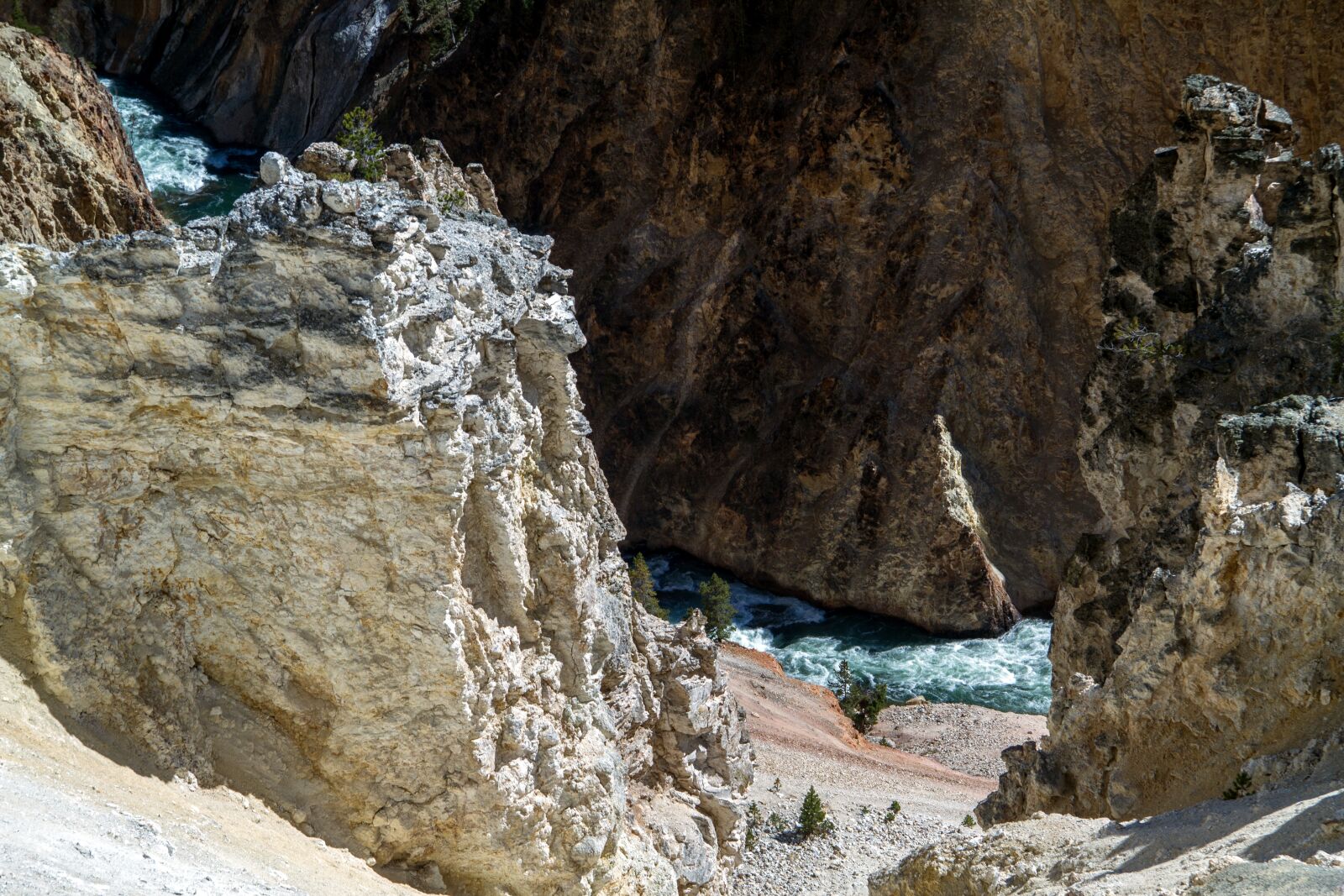 Canon EOS 7D sample photo. Yellowstone national park, wyoming photography