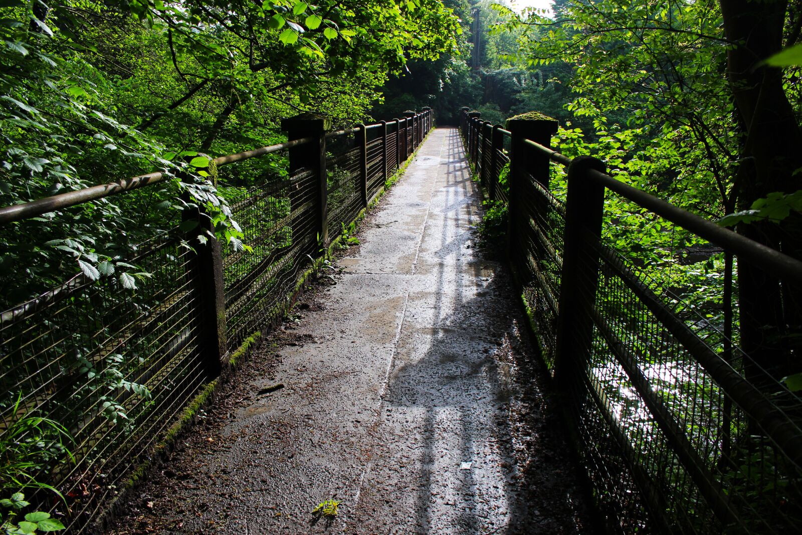Canon EOS 700D (EOS Rebel T5i / EOS Kiss X7i) sample photo. Bridge, nature, green photography