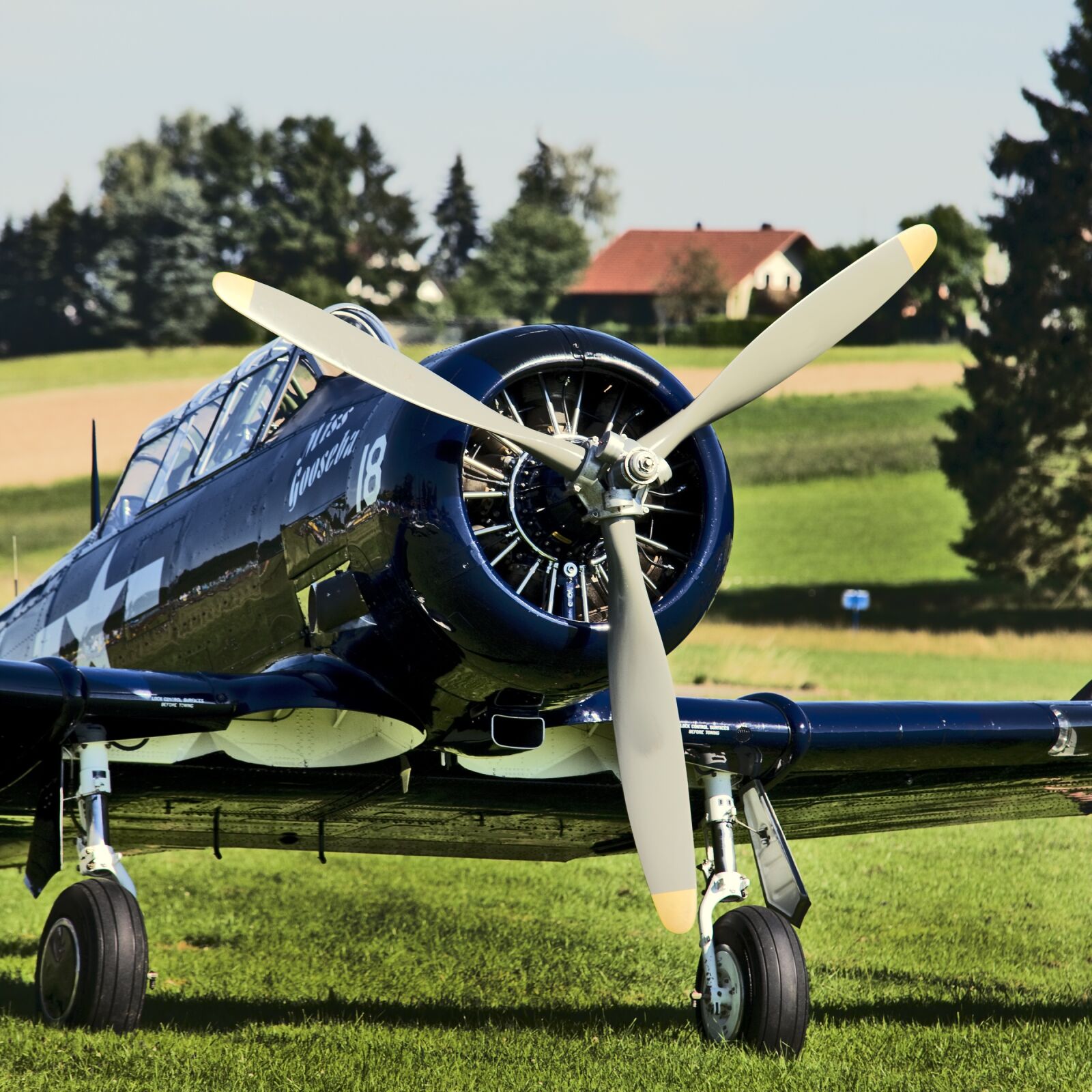 Canon EOS-1Ds Mark III sample photo. Propeller plane, aircraft, aviation photography