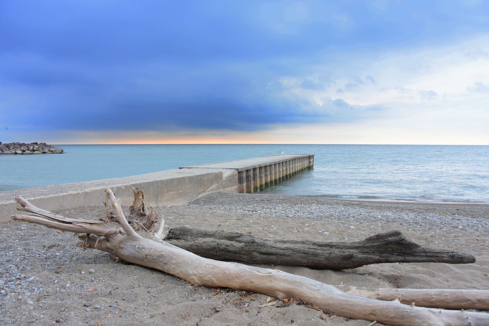 Nikon D7200 sample photo. Toronto, beach, driftwood photography