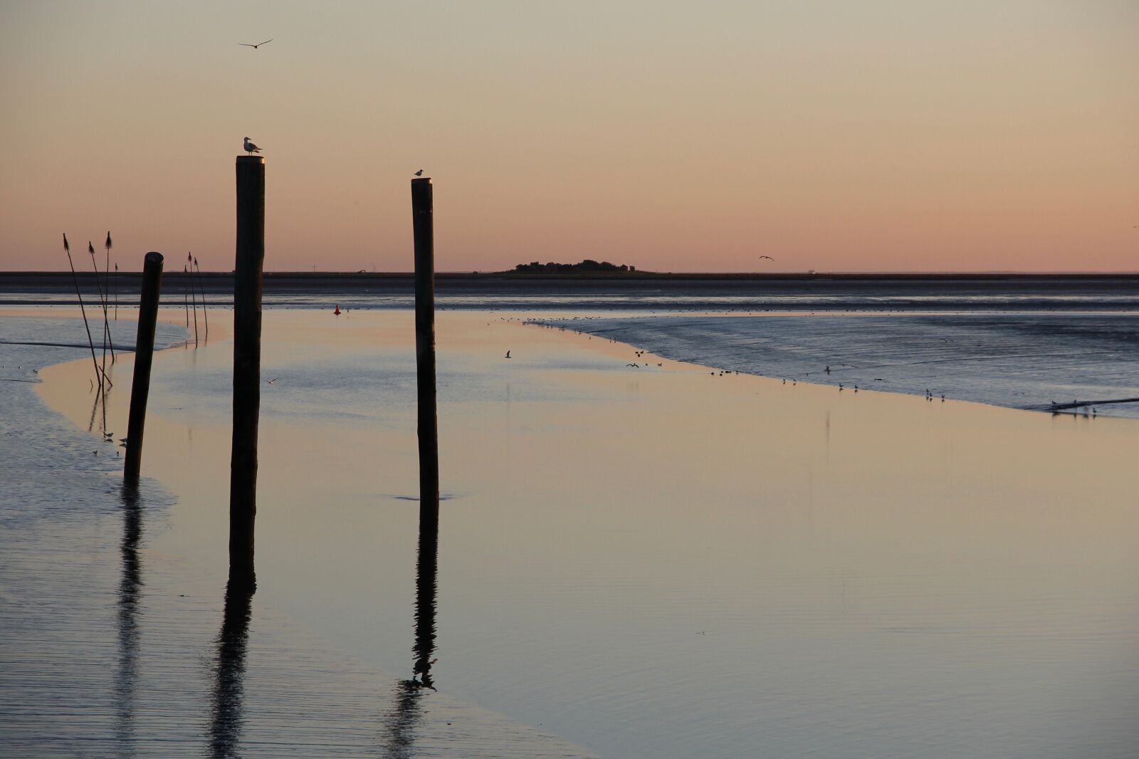 Canon EOS 550D (EOS Rebel T2i / EOS Kiss X4) sample photo. North sea, husum, halligen photography