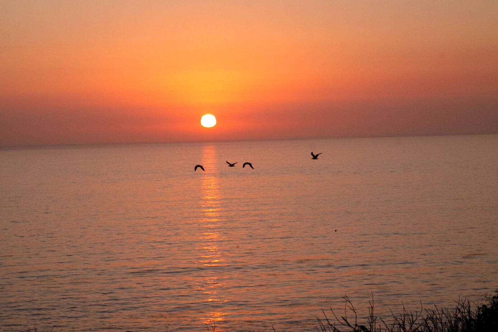 Canon EOS 50D sample photo. Sunset, ocean, sea photography