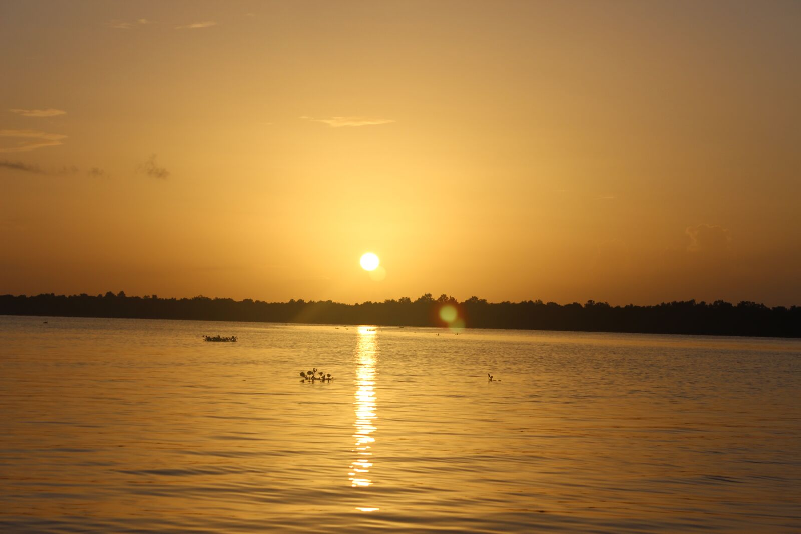 Canon EOS 600D (Rebel EOS T3i / EOS Kiss X5) sample photo. Amanecer, delta, sol photography
