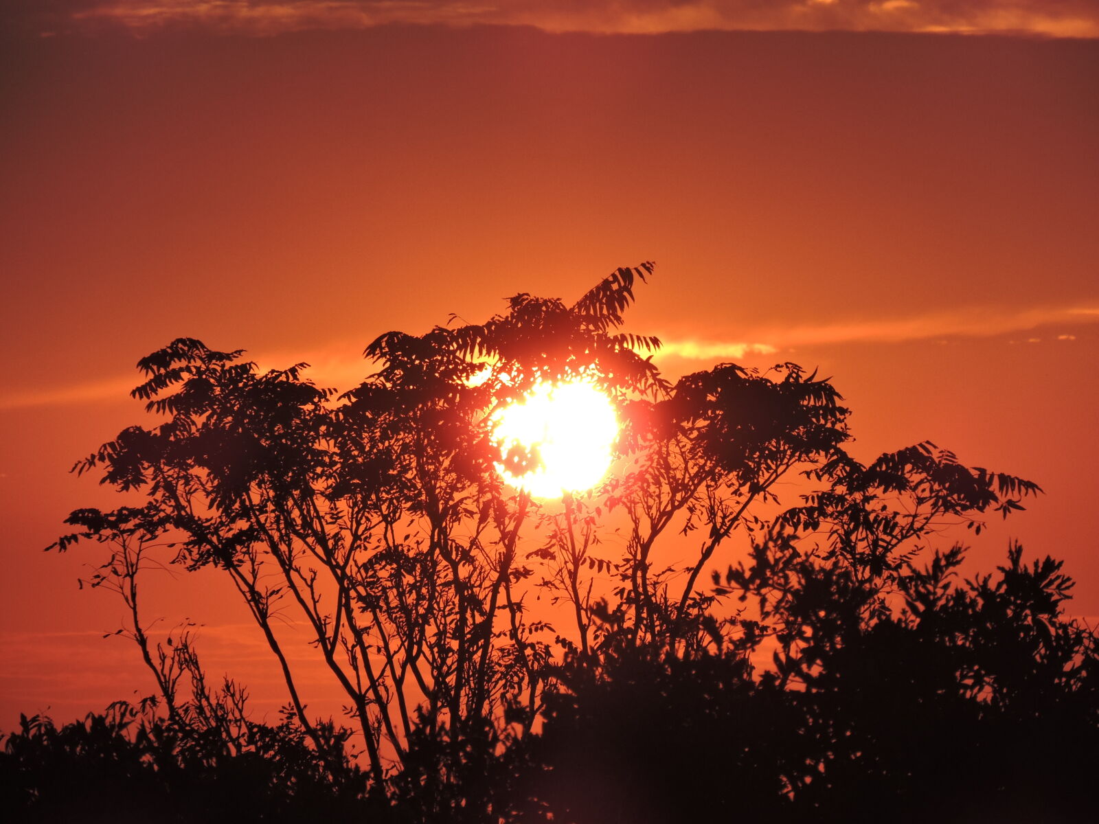 Nikon Coolpix P530 sample photo. Orange, sunset photography