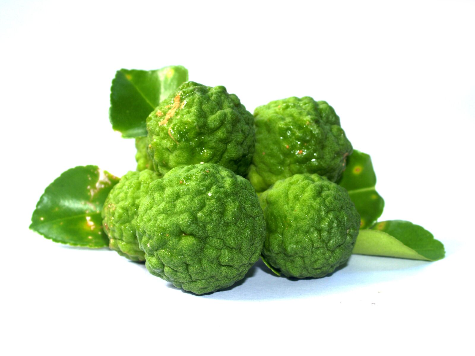 Olympus E-300 (EVOLT E-300) sample photo. Bergamot, fruit, leaf photography