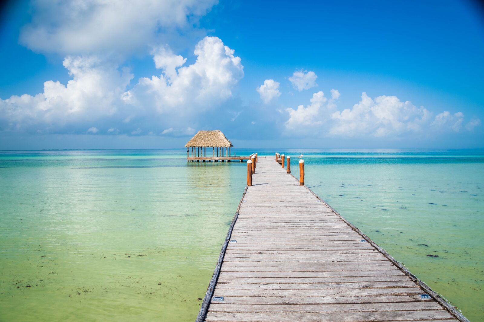 Nikon D5300 sample photo. Island, isla holbox, holbox photography