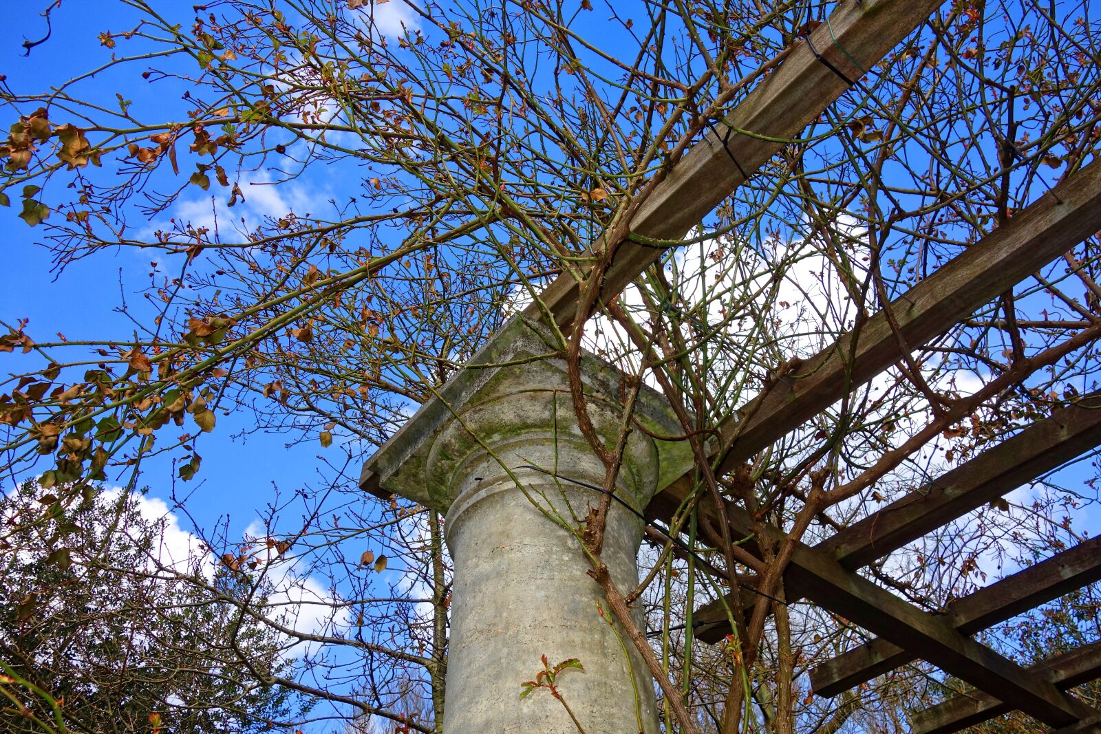 Sony Cyber-shot DSC-RX100 sample photo. Pergola, pillar, framework photography