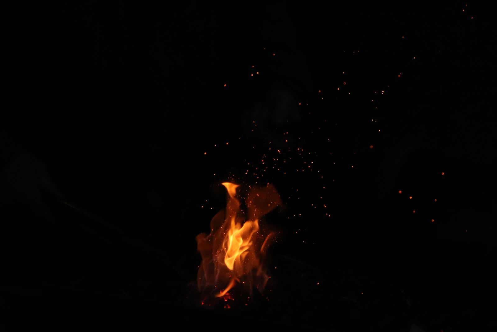 Canon EOS 800D (EOS Rebel T7i / EOS Kiss X9i) sample photo. Fire, wood, market photography
