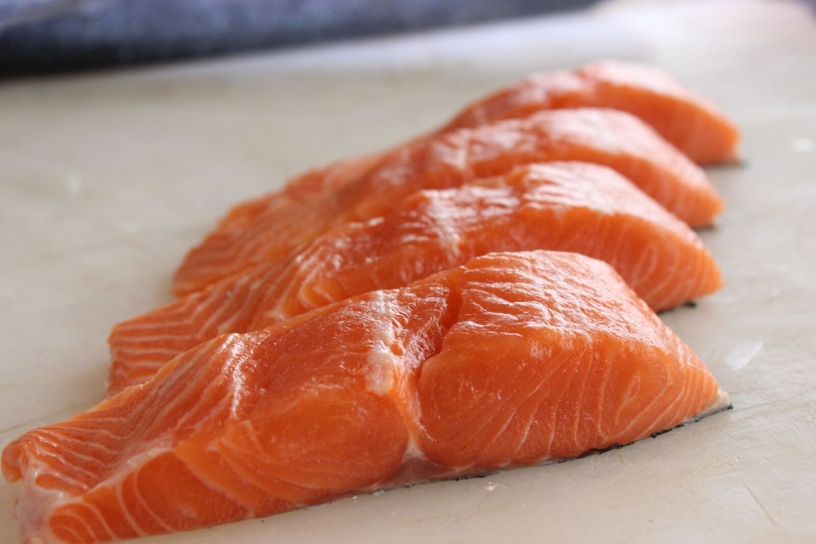 Canon EOS 600D (Rebel EOS T3i / EOS Kiss X5) sample photo. Salmon, court, fish photography