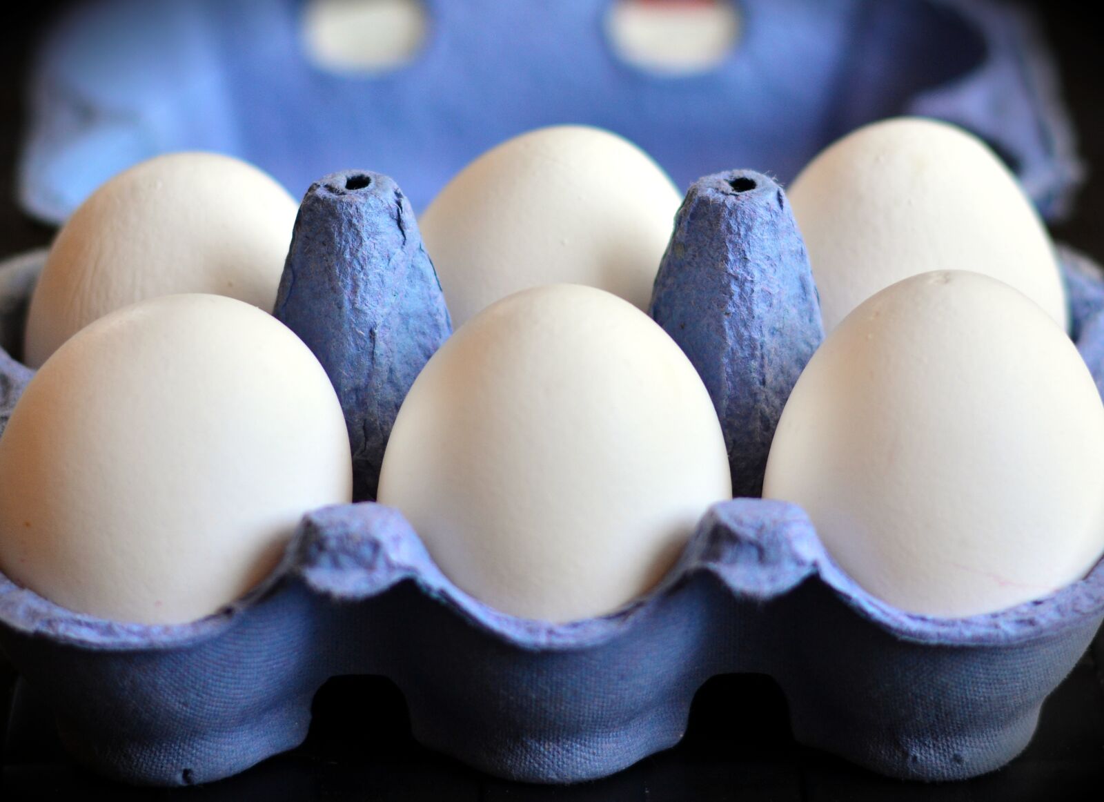 Nikon D5200 sample photo. Egg, egg carton, white photography