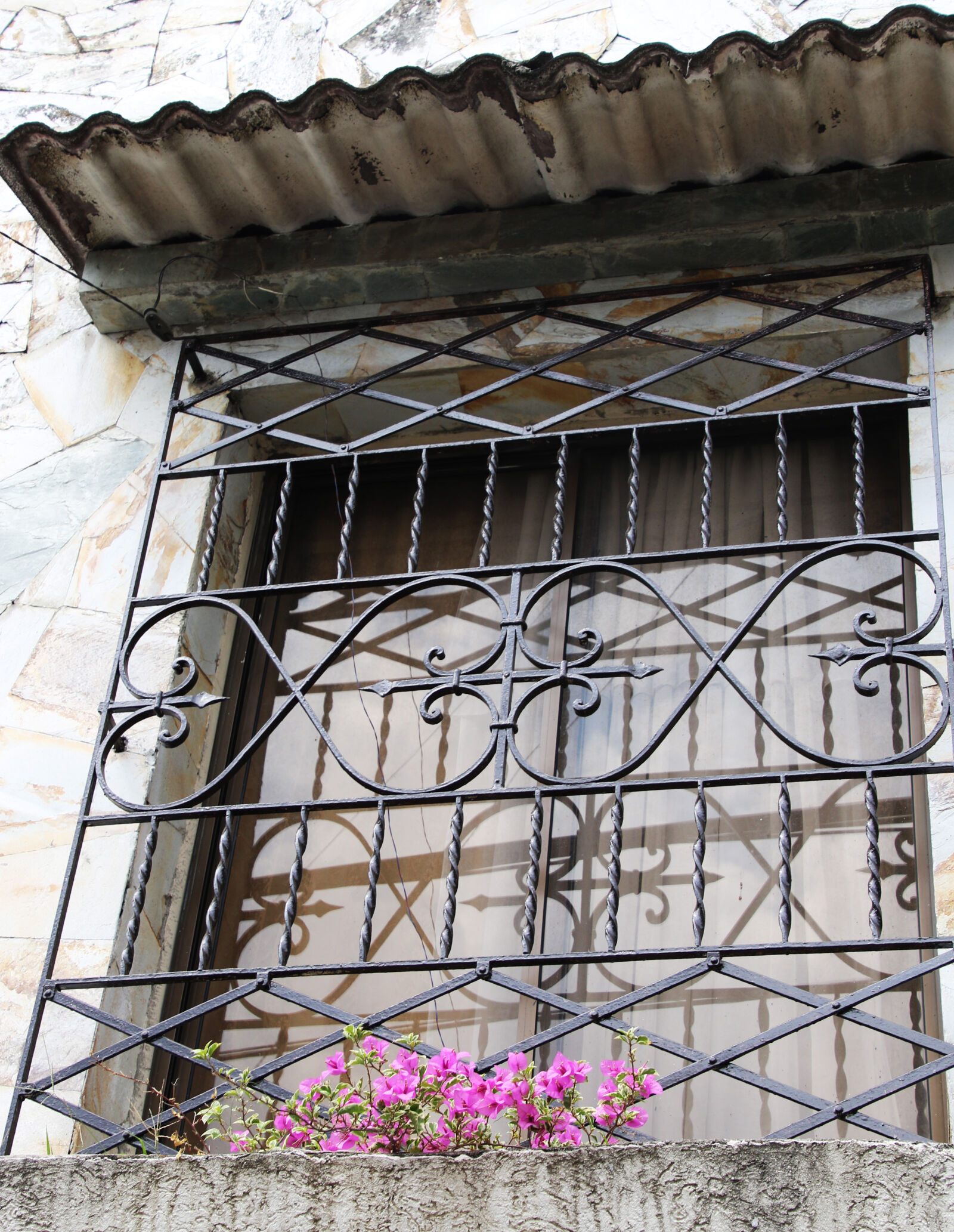 Canon EOS 7D Mark II sample photo. Curly, flowers, home, house photography