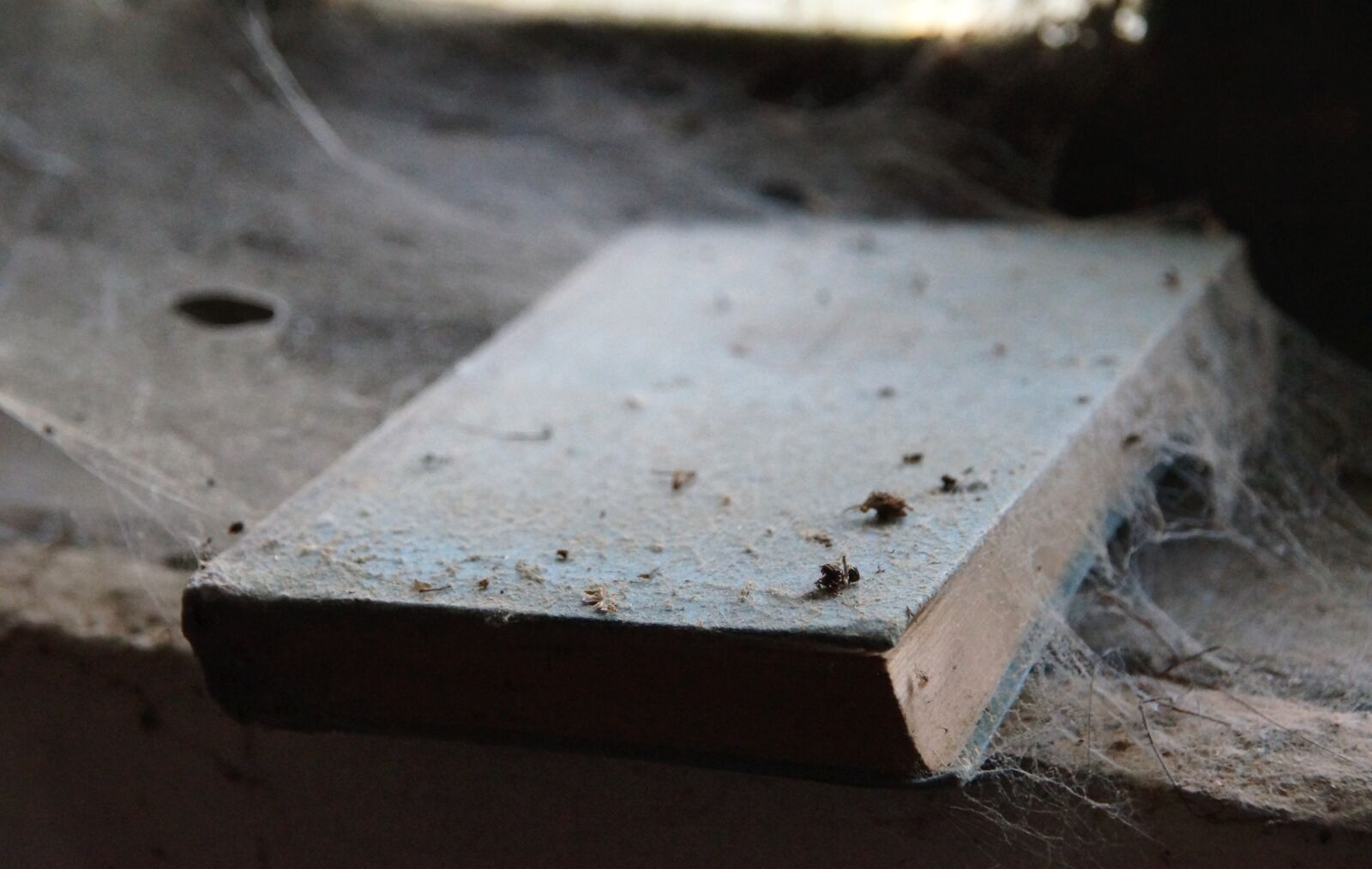 Sony SLT-A57 sample photo. Book, dusty, forget photography