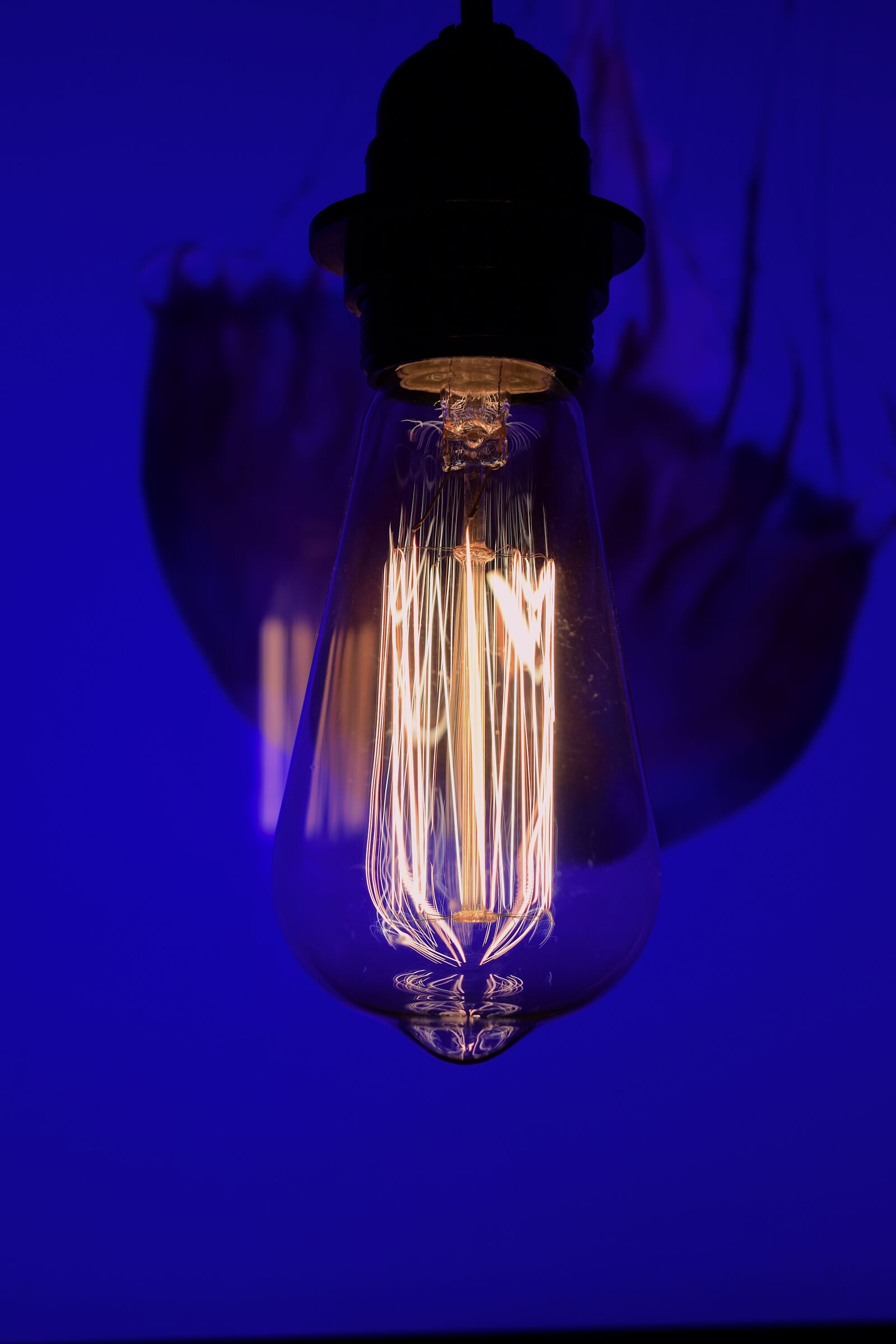 Nikon D5300 sample photo. Filament, vintage lamp, close photography