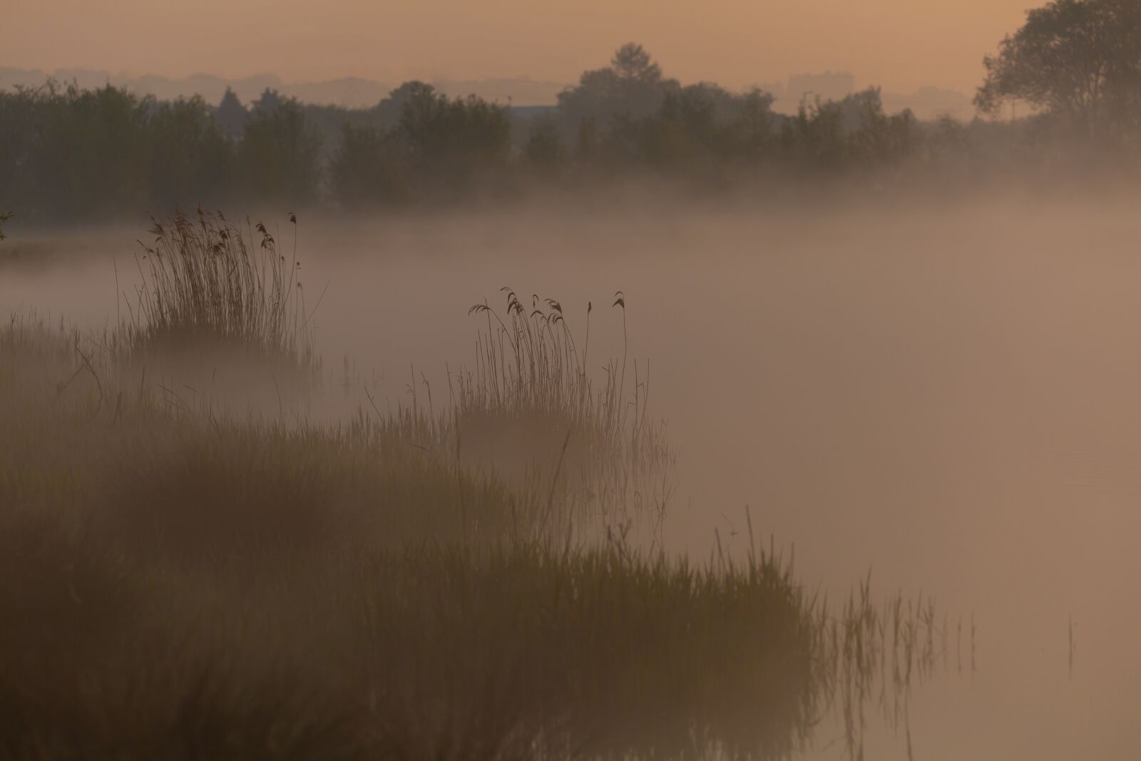 150-600mm F5-6.3 DG OS HSM | Contemporary 015 sample photo. Misty riverbank, misty, mist photography