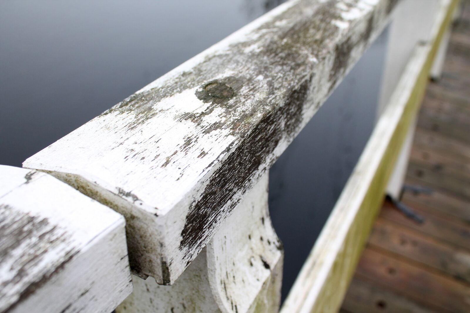 Canon EOS 1100D (EOS Rebel T3 / EOS Kiss X50) sample photo. Wood, painted, bridge photography
