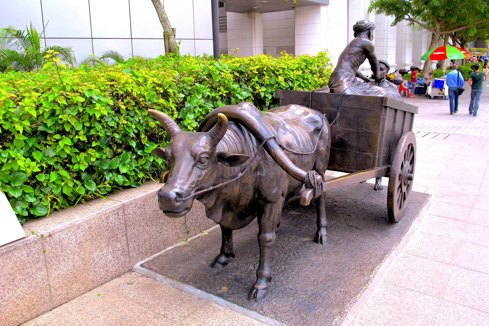 Canon PowerShot G12 sample photo. Buffalo, pulling, a, cart photography