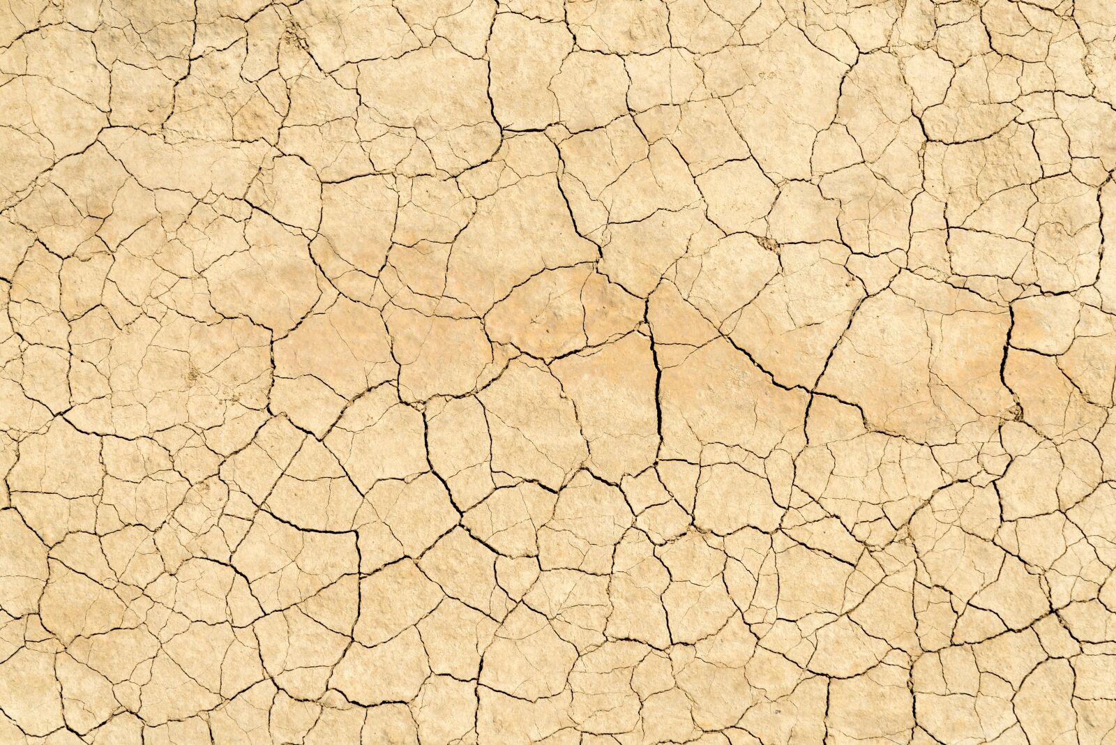 Nikon D610 sample photo. Soil, cracks, clay photography
