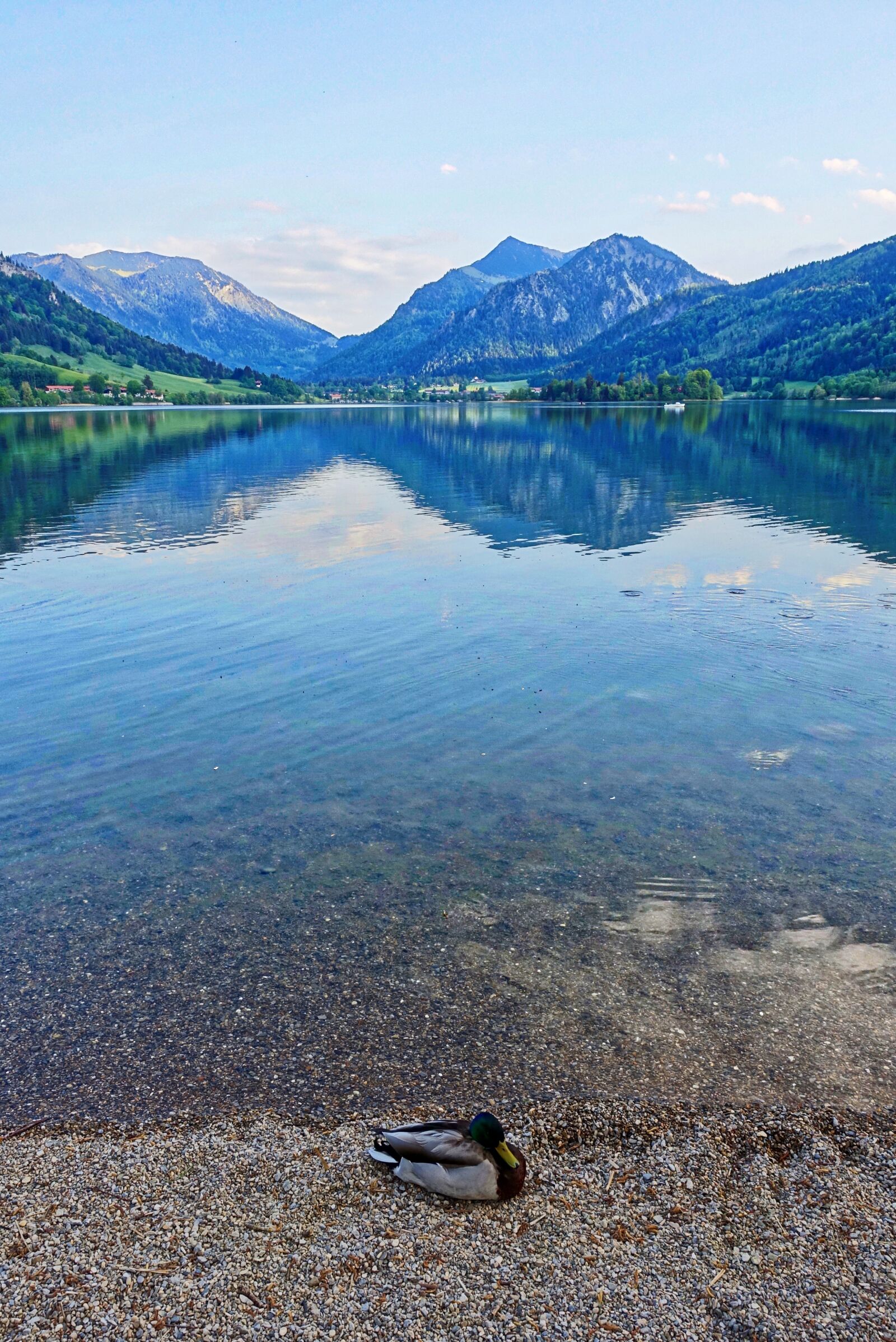 Sony Cyber-shot DSC-RX100 III sample photo. Reflection, lake, water photography